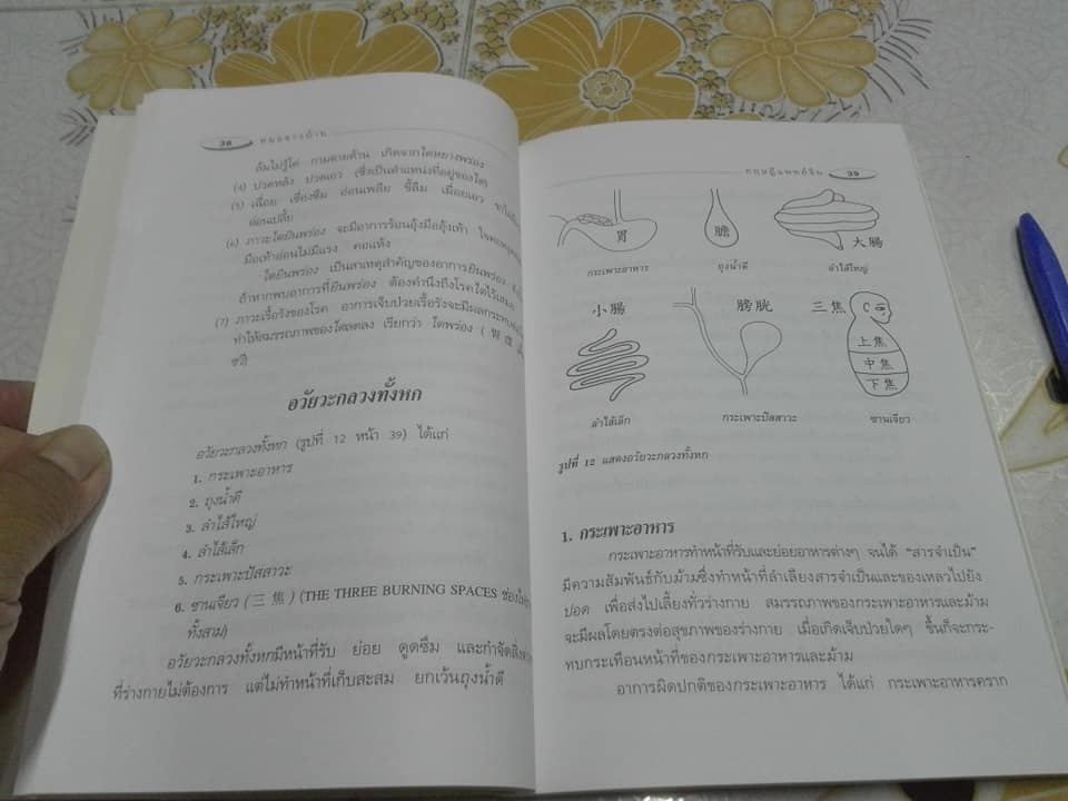 ทฤษฎีแพทย์จีน โดย โครงการพัฒนาเทคนิคการทำยาสมุนไพร (วิทิต วัณนาวิบูล,สุรเกียรติ อาชานานุภาพ บรรณาธิการ) **สินค้าหมด**