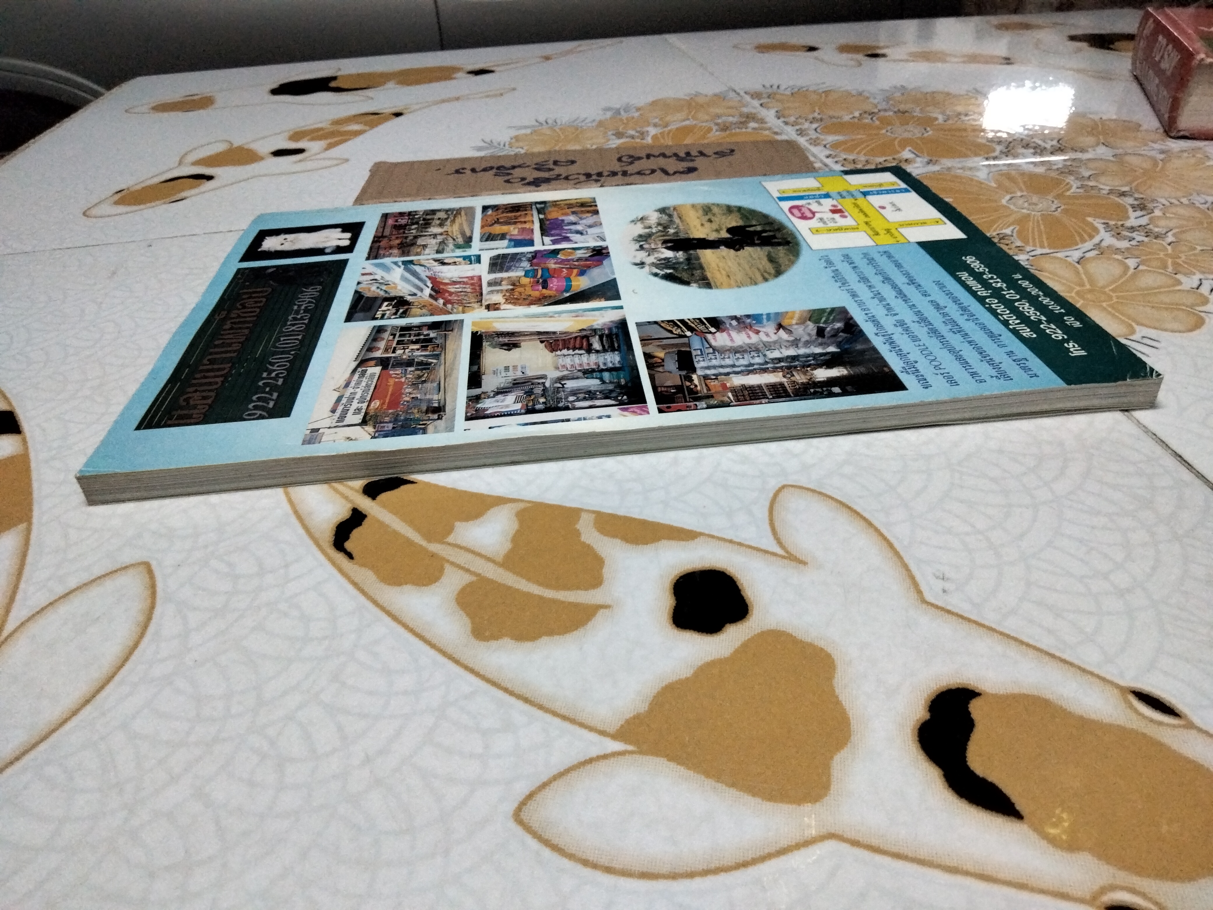 THE CATS คู่มือสำหรับคนรักแมว **สินค้าหมด**