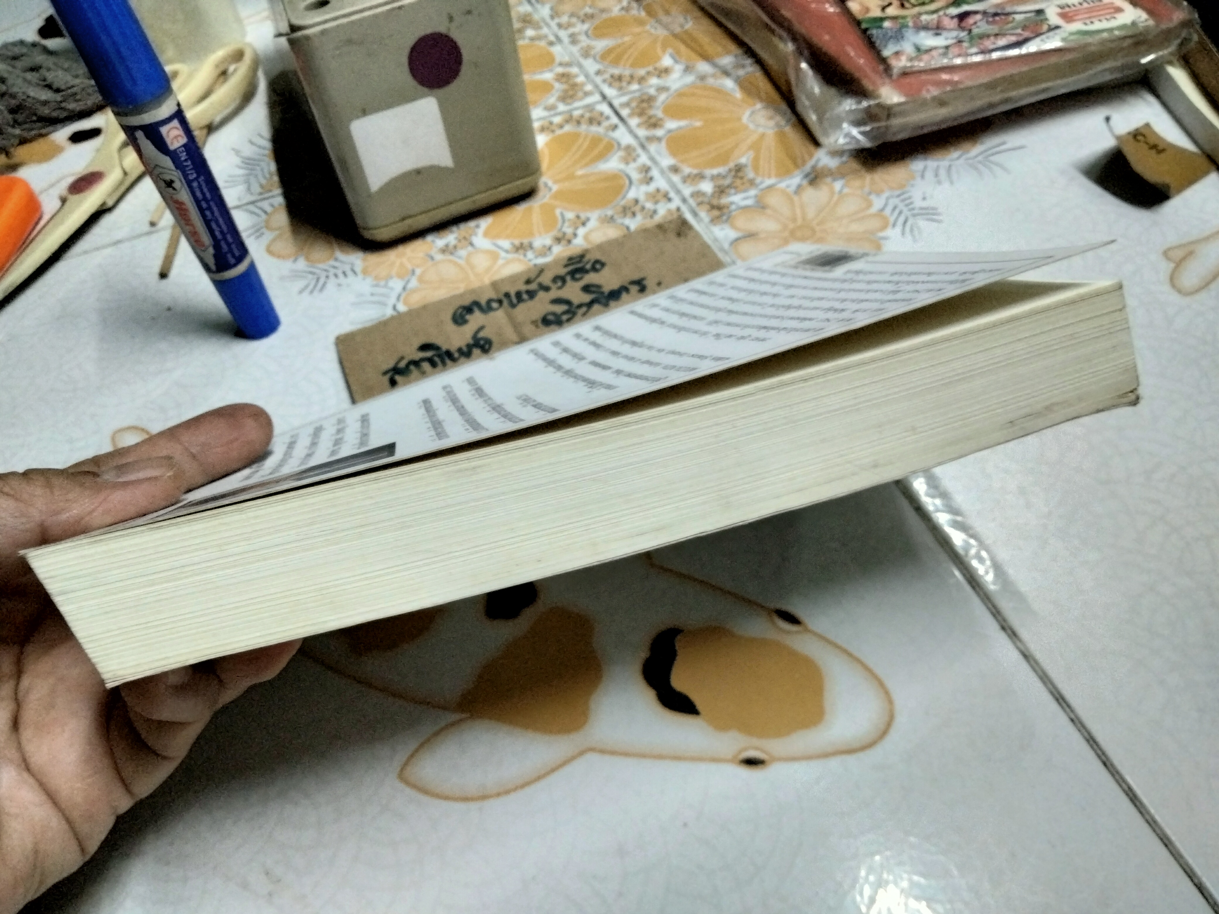 สาธารณคดี ภาครัฐในมุมมองกฎหมาย การเมืองและการบริหาร โดย ปฐม มณีโรจน์