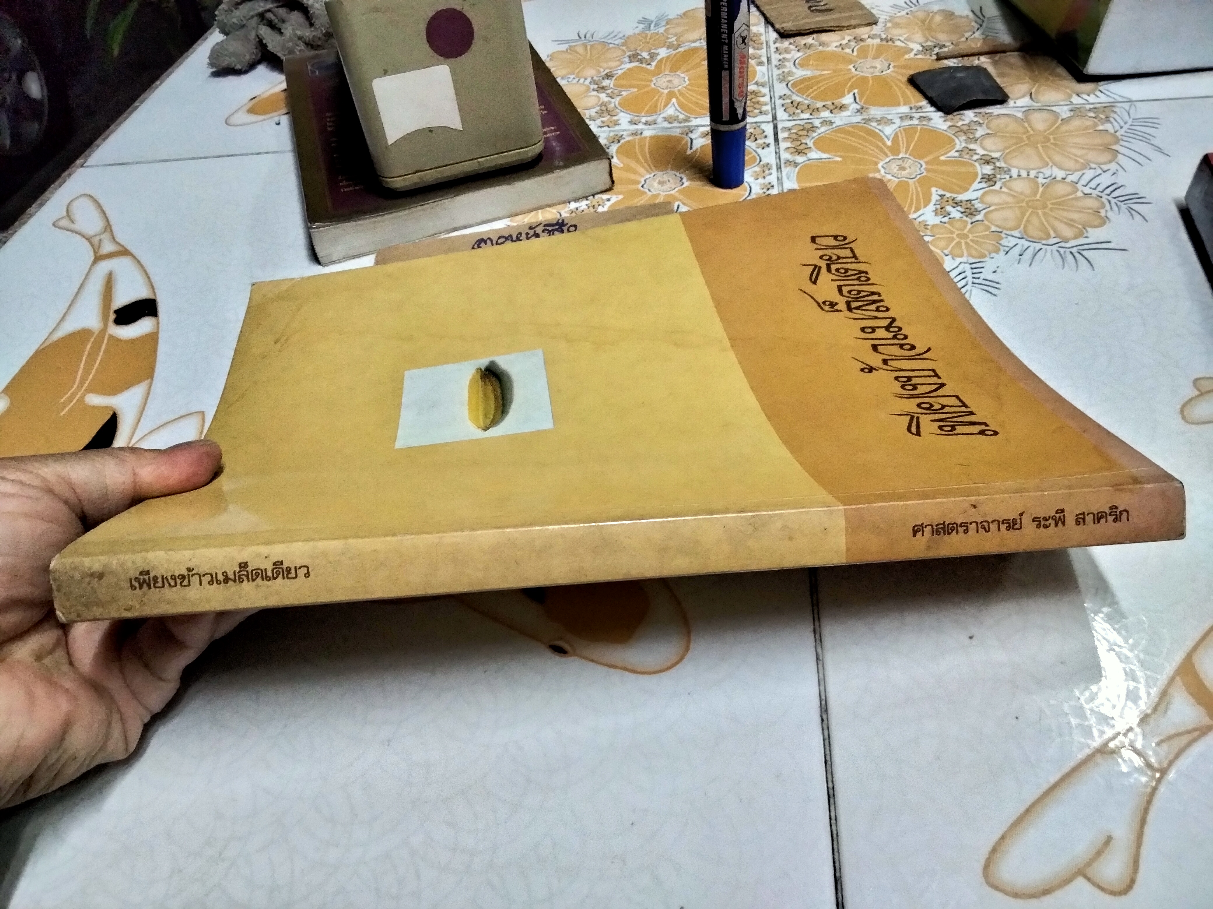 เพียงข้าวเมล็ดเดียว โดย ศาสตราจารย์ ระพี สาคริก พิมพ์ พ.ศ.2525 **สินค้าหมด**