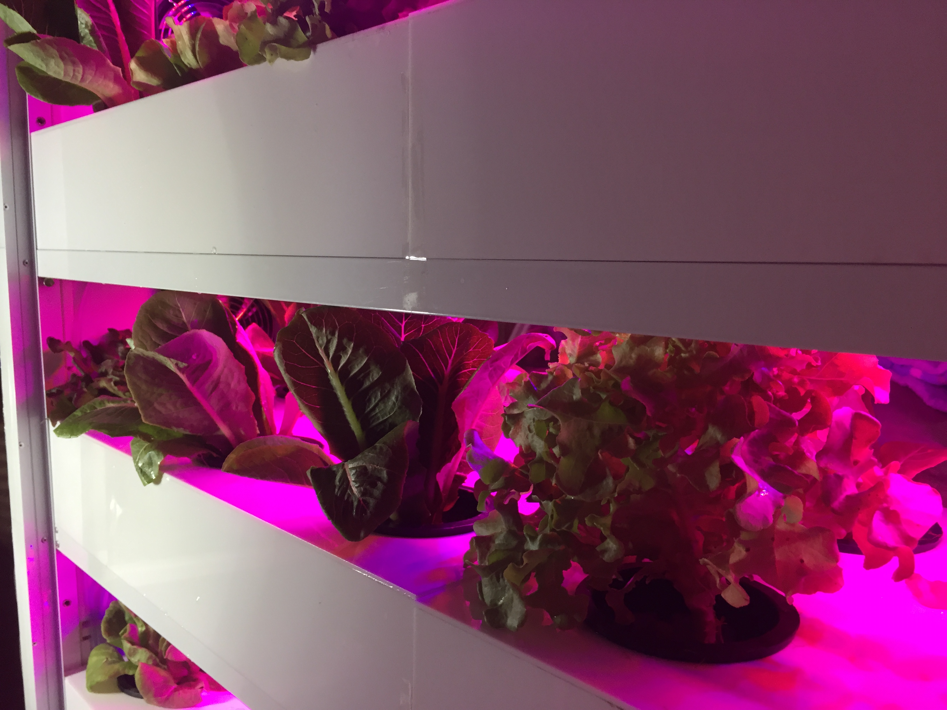 ตู้ปลูกผักอัจฉริยะ substate grow