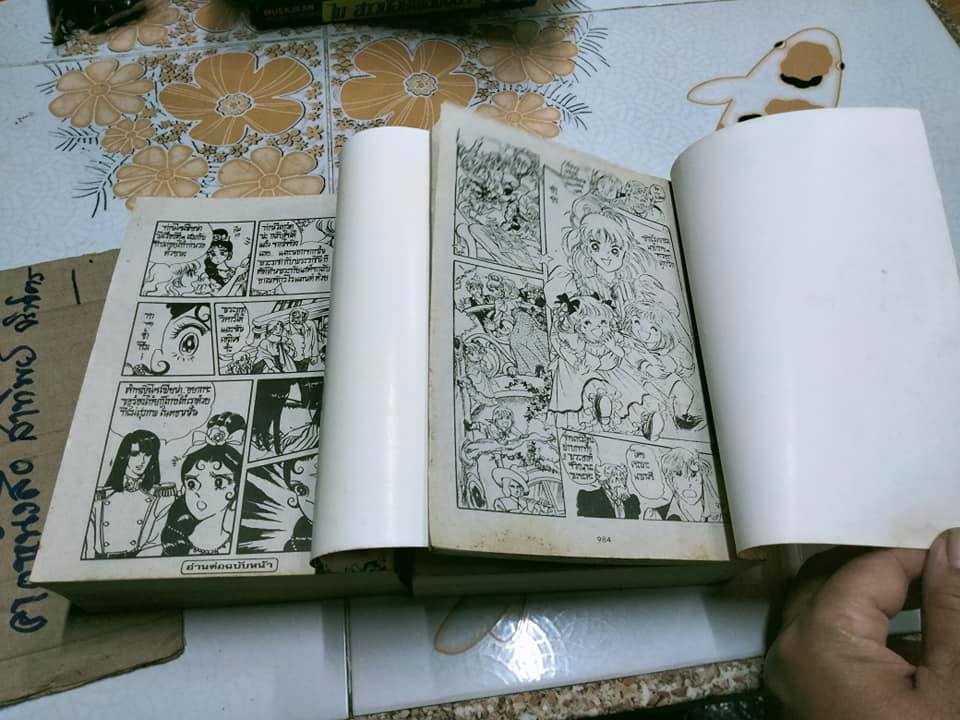 ปริศนาลับแพนซี (2 เล่มจบ) ผลงาน Okamura Mariko **สินค้าหมด**