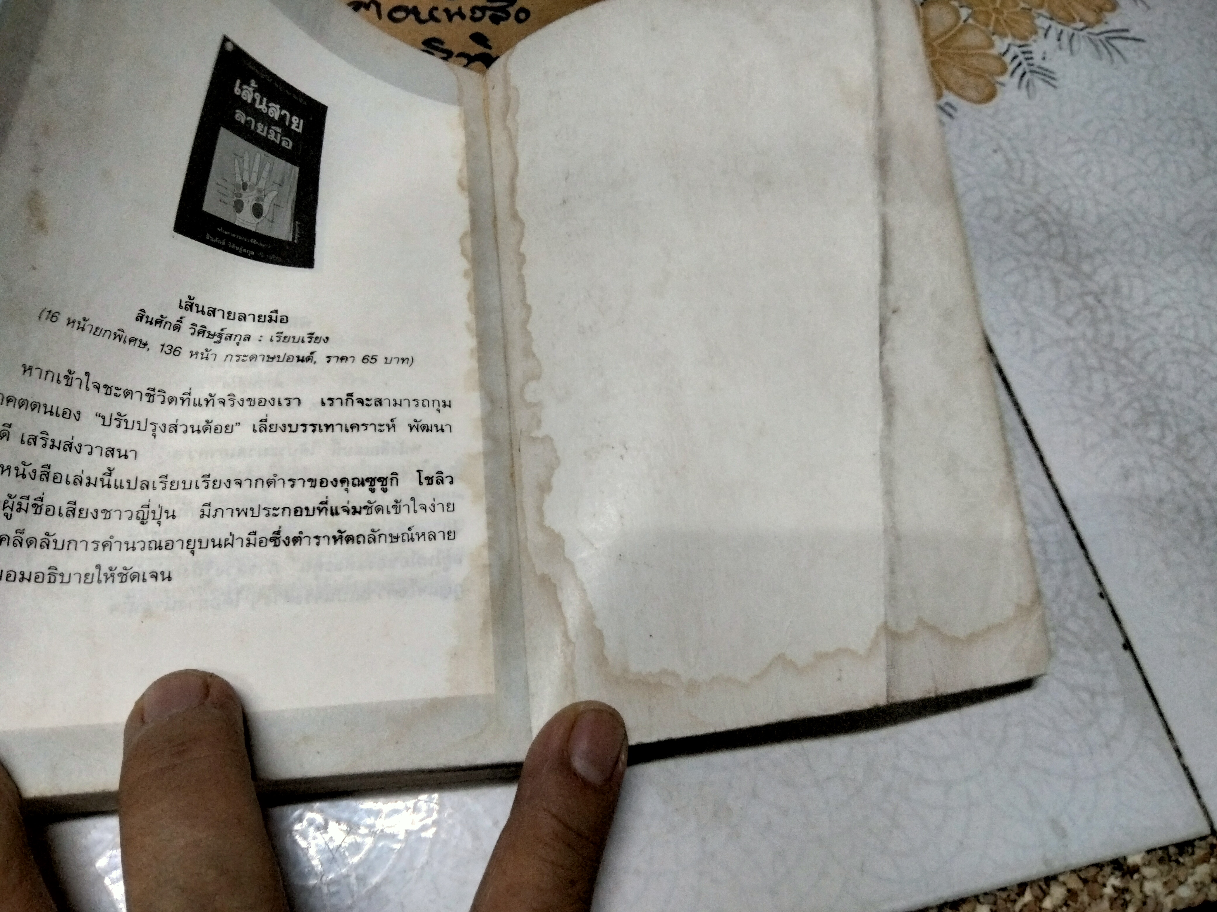 ไพ่ยิปซี กุญแจไขชีวิต โดย สังคม ฮอหรินทร์ พิมพ์ครั้งที่ 4/2538 (สภาพพอใช้) **สินค้าหมด**