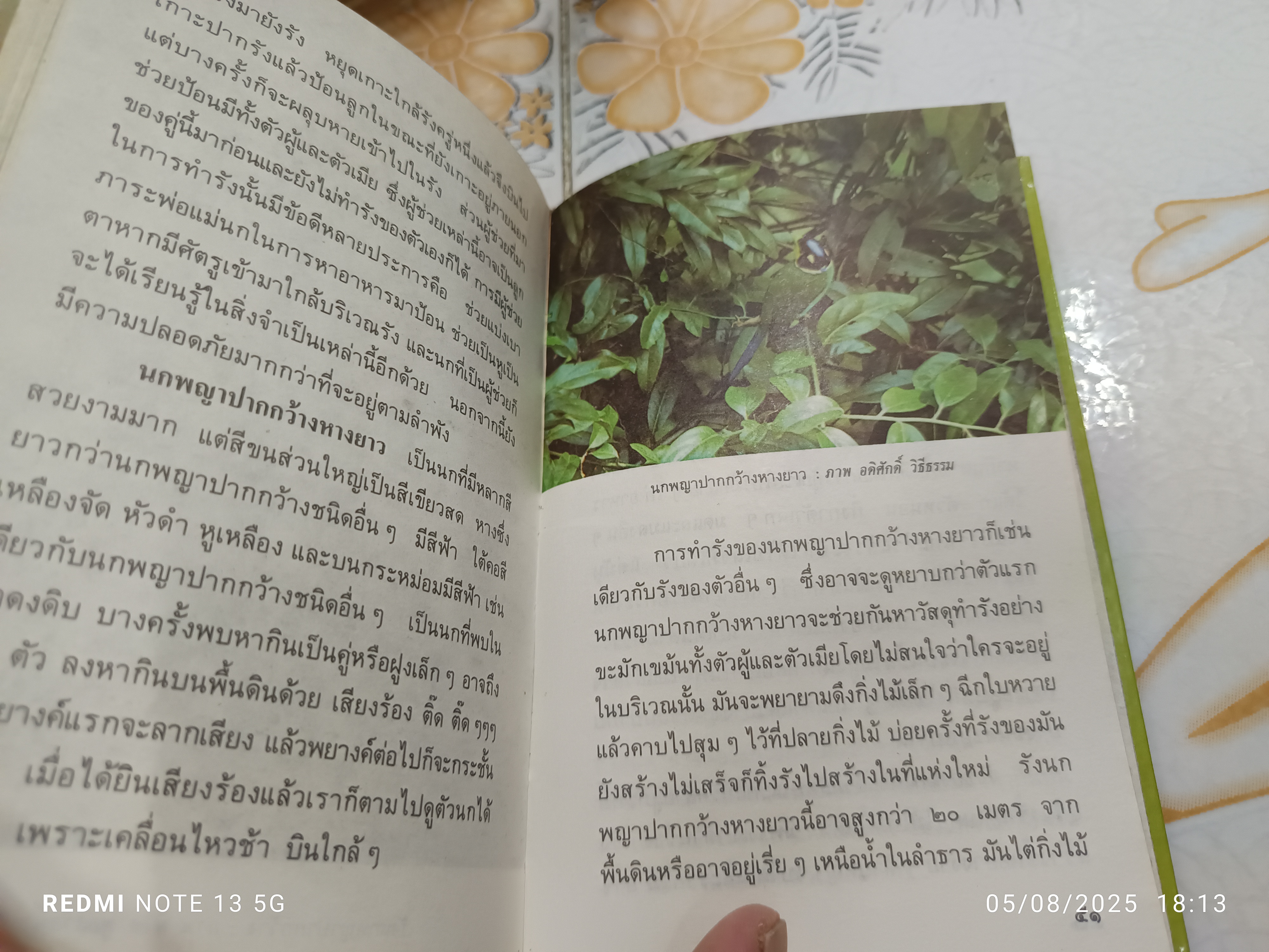 นกป่า โดย พิไล พูลสวัสดิ์ พิมพ์ครั้งที่ 1 ปี 2532 หนังสือชุดความรู้ไทยขององค์การค้าคุรุสภา