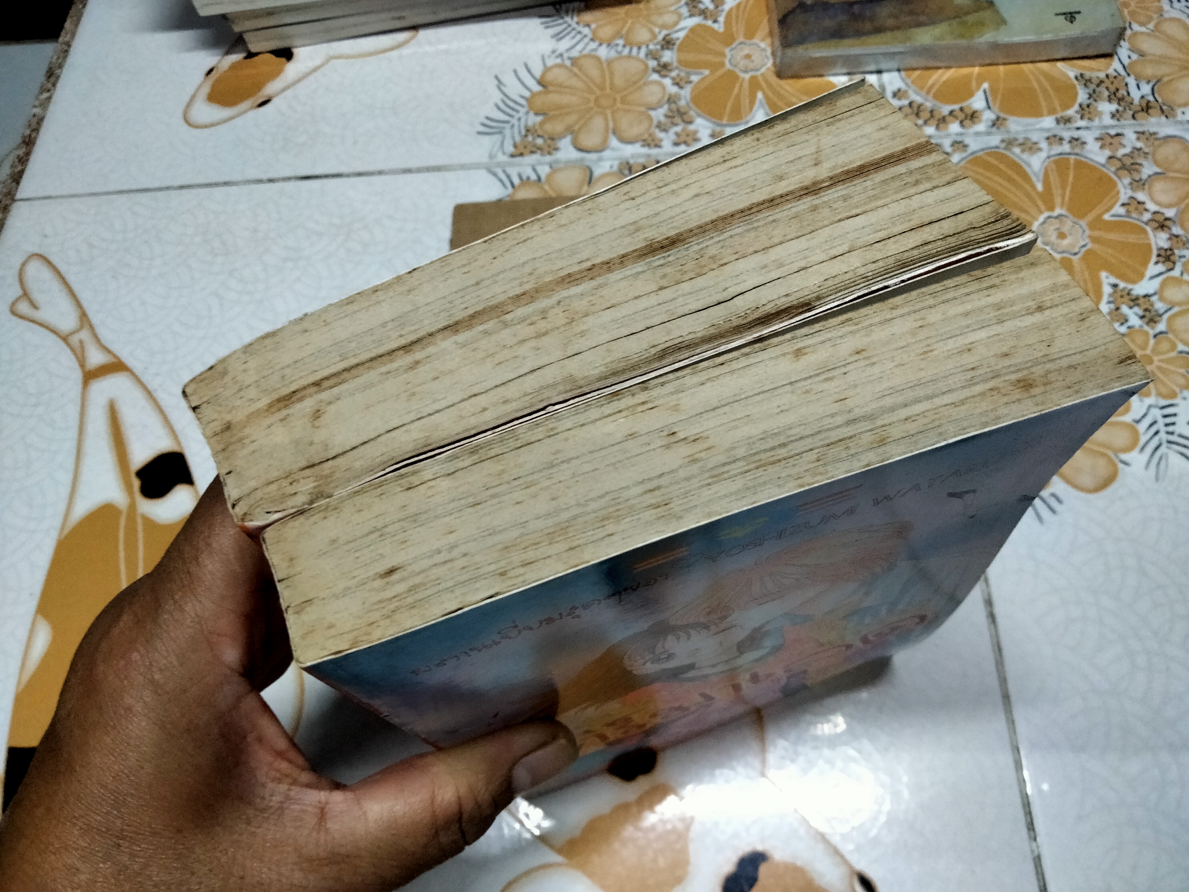 มาร์มาเลด สุดที่รัก 2 เล่มจบ / Yoshizumi Wataru **สินค้าหมด**