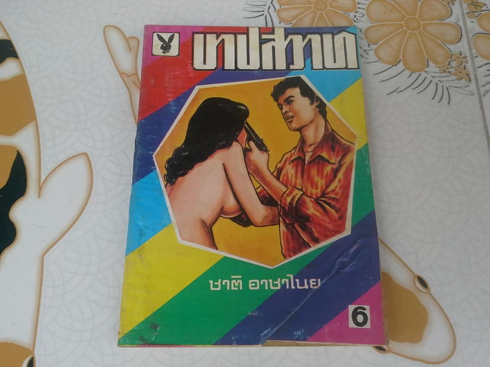 บาปสวาท - ชาติ อาชาไนย **สินค้าหมด**