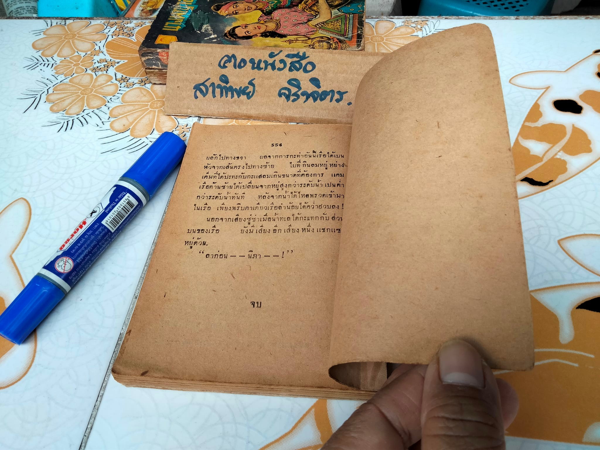 วิมานไนอากาส (เล่มจบ) โดย "อาสา" --เทพธิดาไนฝัน ภาคจบ -- **หนังสือภาษาวิบัติ