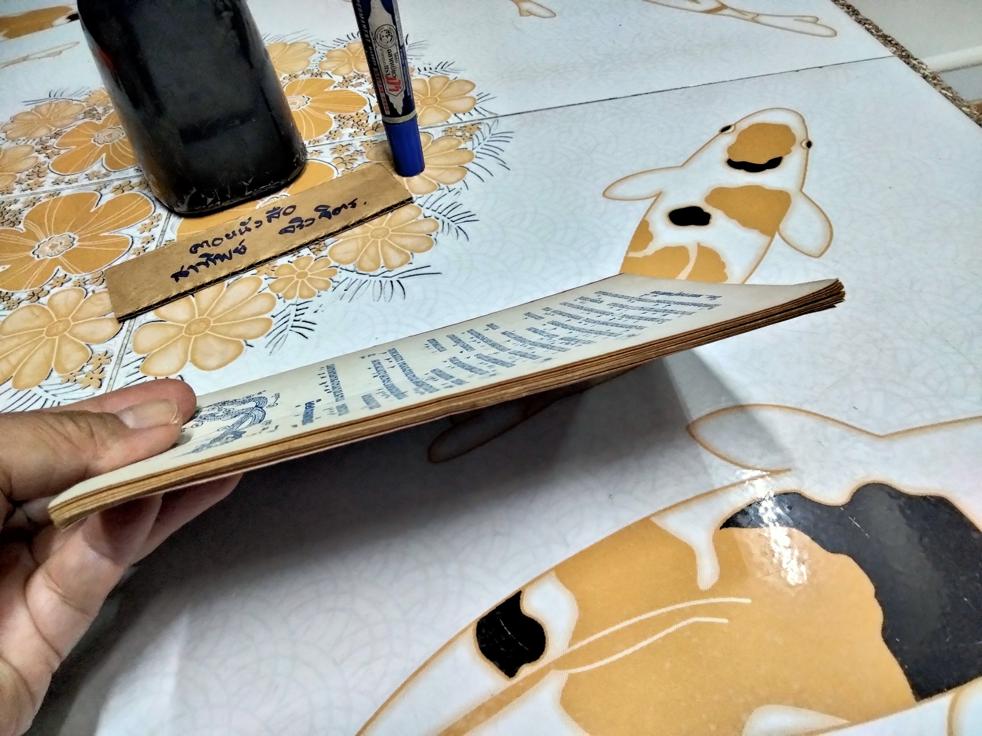 ตำราหมอดูประจำบ้าน โดย หลวงสุรศักดิ์