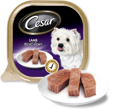 Cesar(ซีซาร์) แกะ