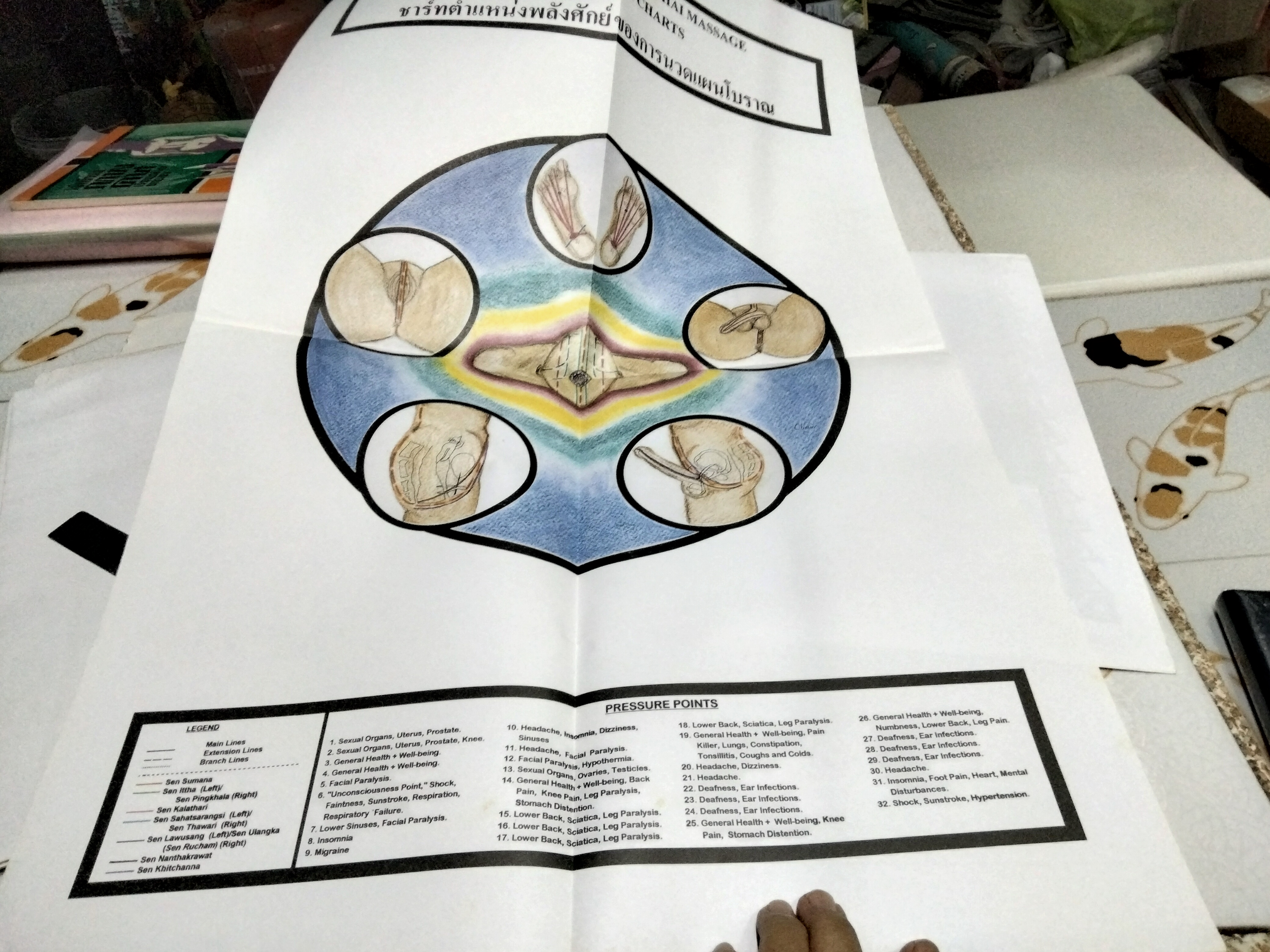 ชาร์ทตำแหน่งพลังศักย์ของการนวดแผนโบราณ The art of traditional Thai massage energy line charts - Asokananda **สินค้าหมด**