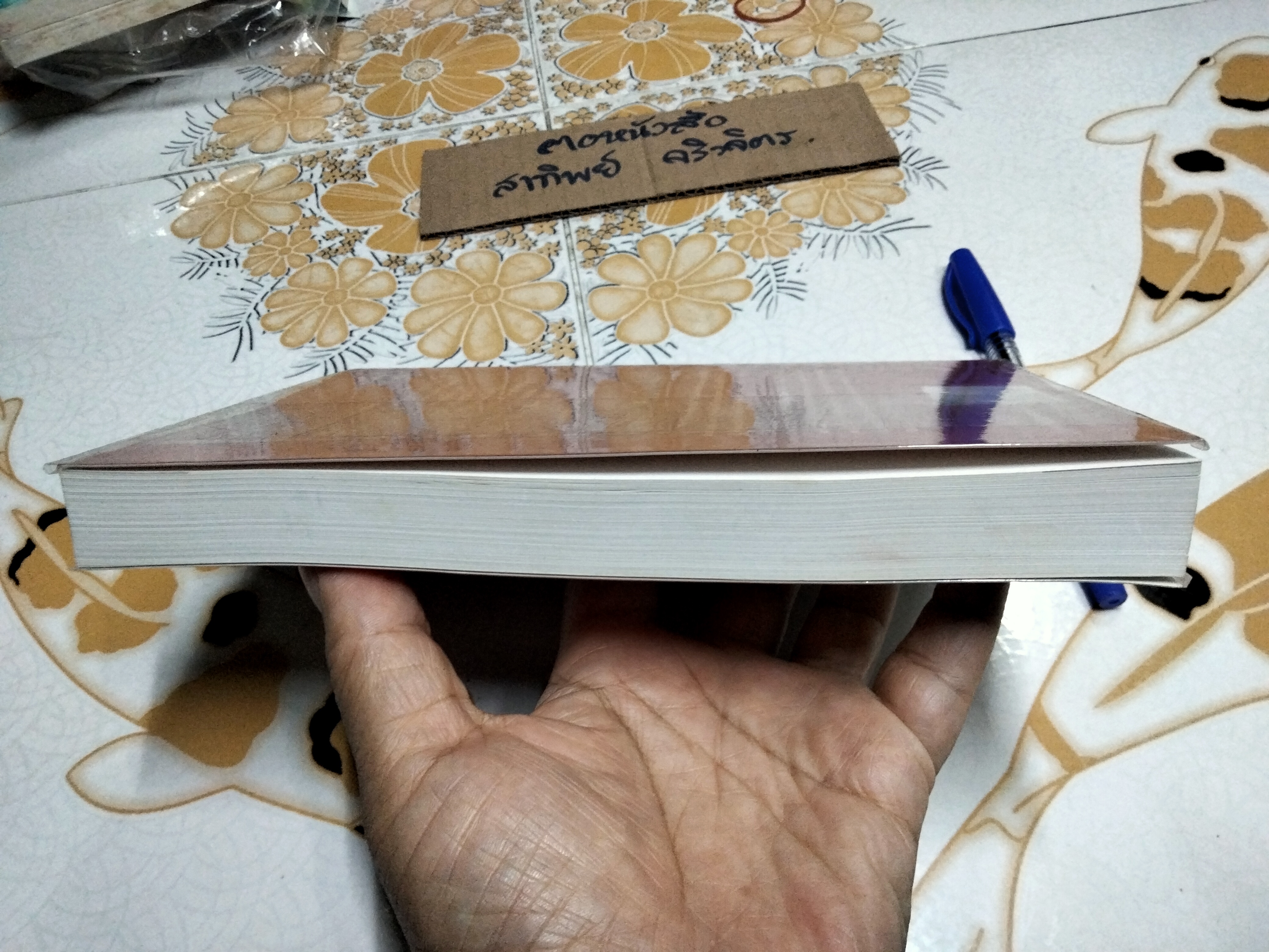 จินตนาการไม่รู้จบ THE NEVERENDING STORY - มิฆาเอ็ล เอ็นเด้ เขียน, รัตนา รัตนดิลกชัย แปล **สินค้าหมด**