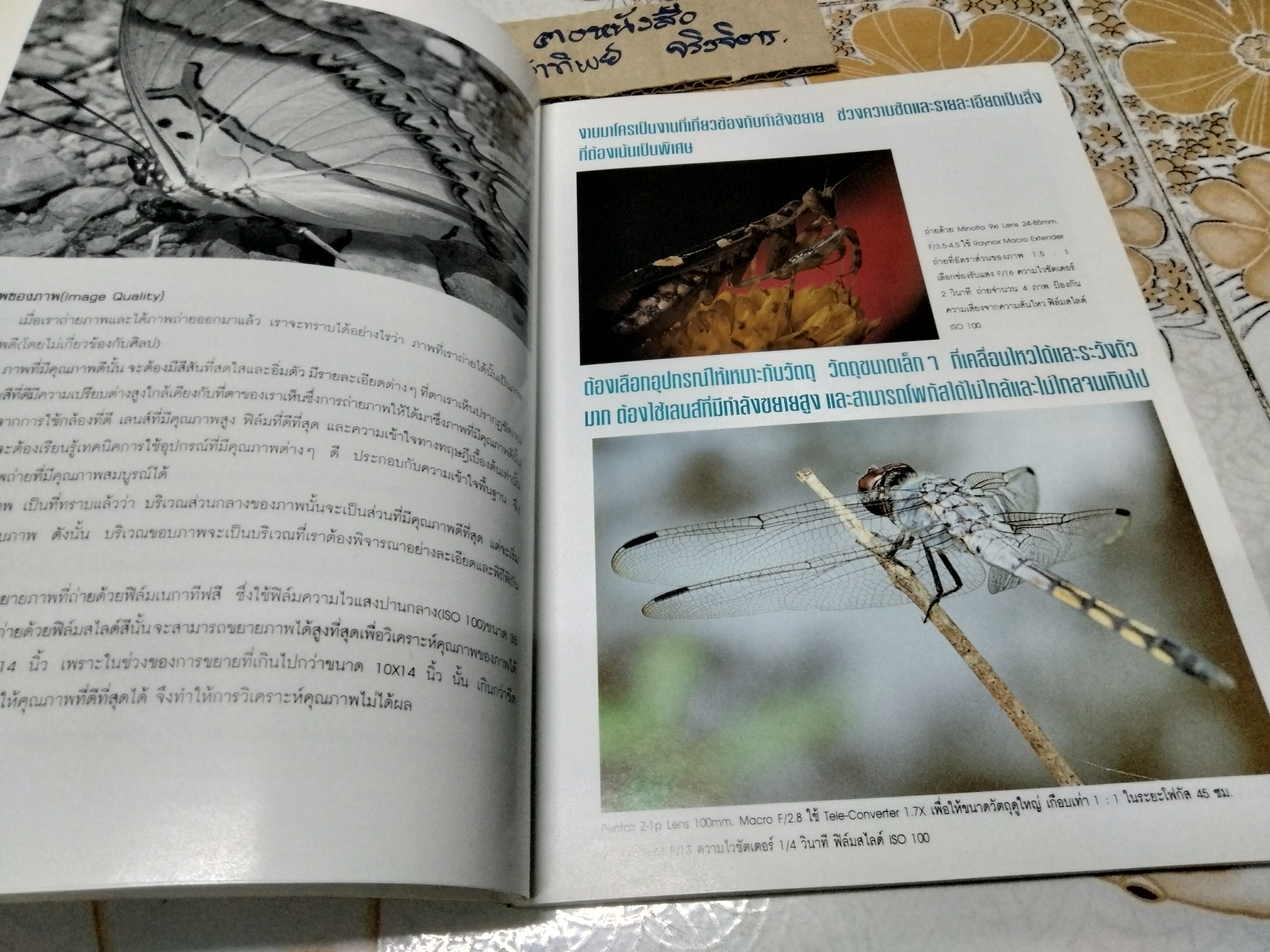 วิชาการ เทคนิค และเคล็ดลับ การถ่ายภาพมาโครฉบับสมบูรณ์ โดย สุรเดช วงศ์สินหลั่ง