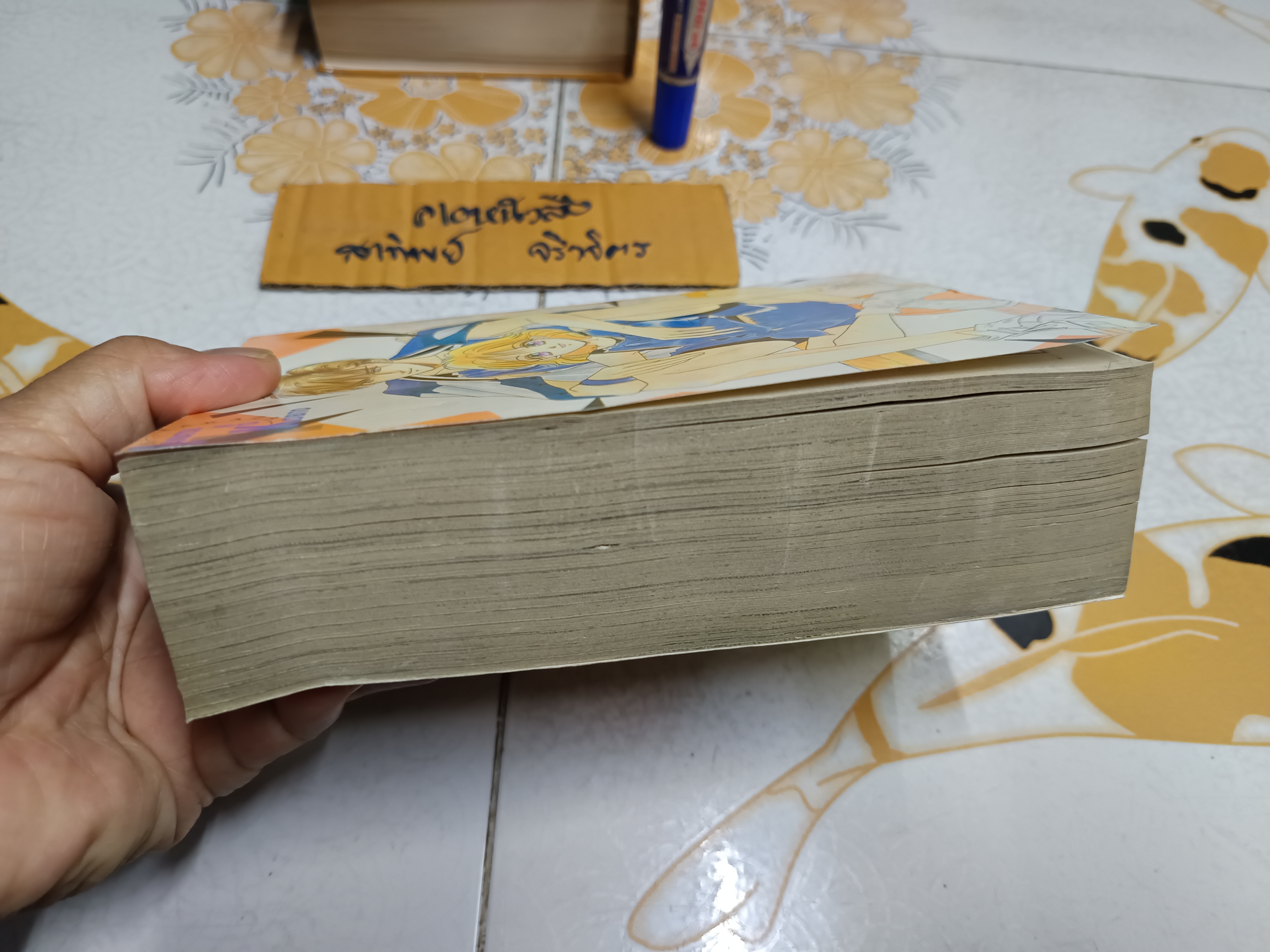 รูปหล่อริมหน้าต่าง (เล่มเดียวจบ) Takada Rie สำนักพิมพ์หมึกจีน