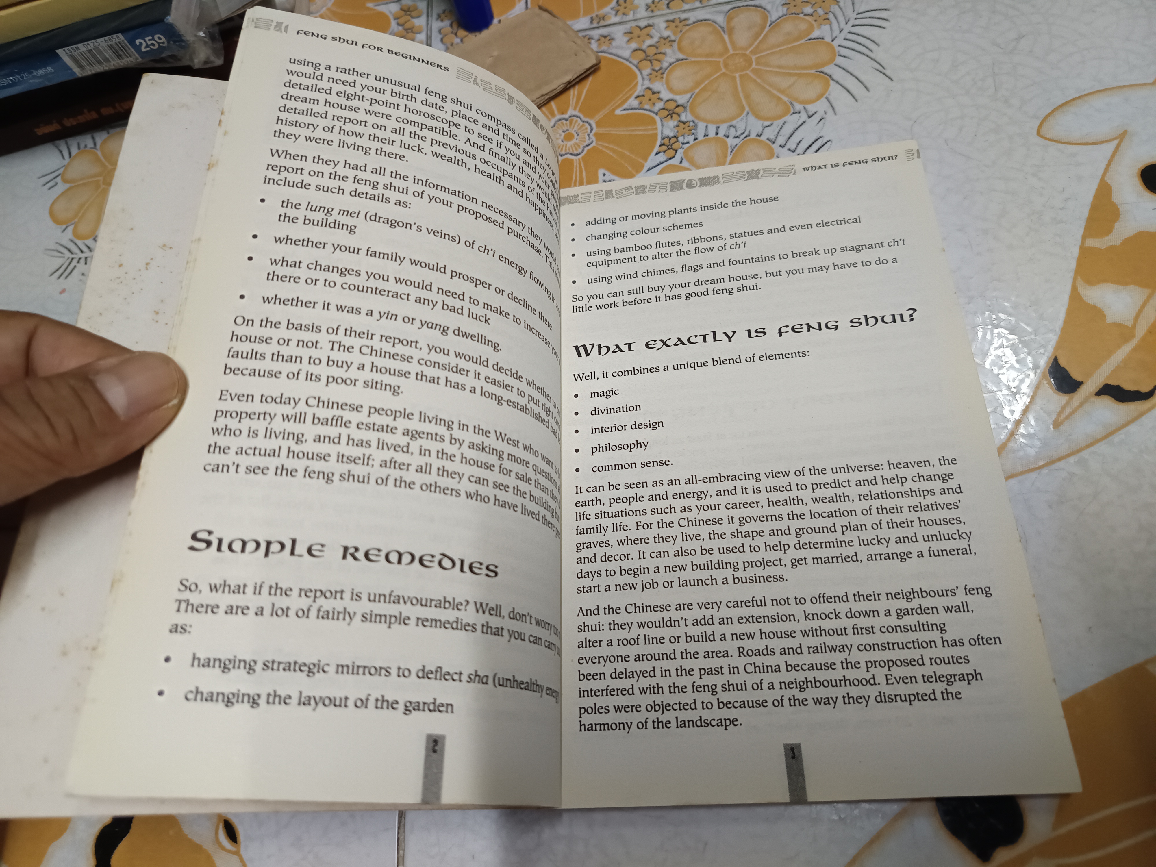 FENG SHUI FOR BEGINNERS by RICHARD CRAZE