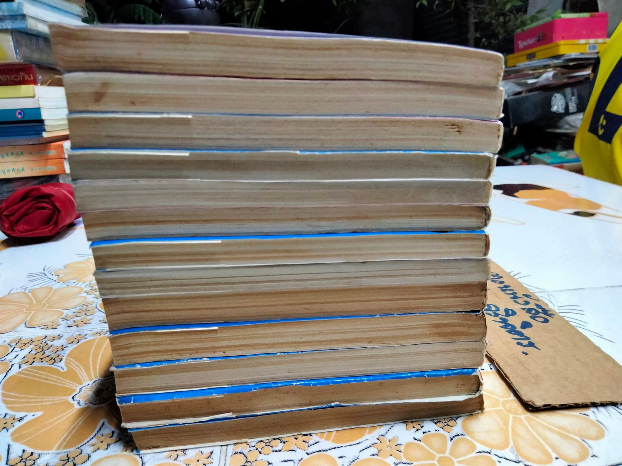 CHACHA สาวน้อยหมวกแดง (13 เล่มจบ)