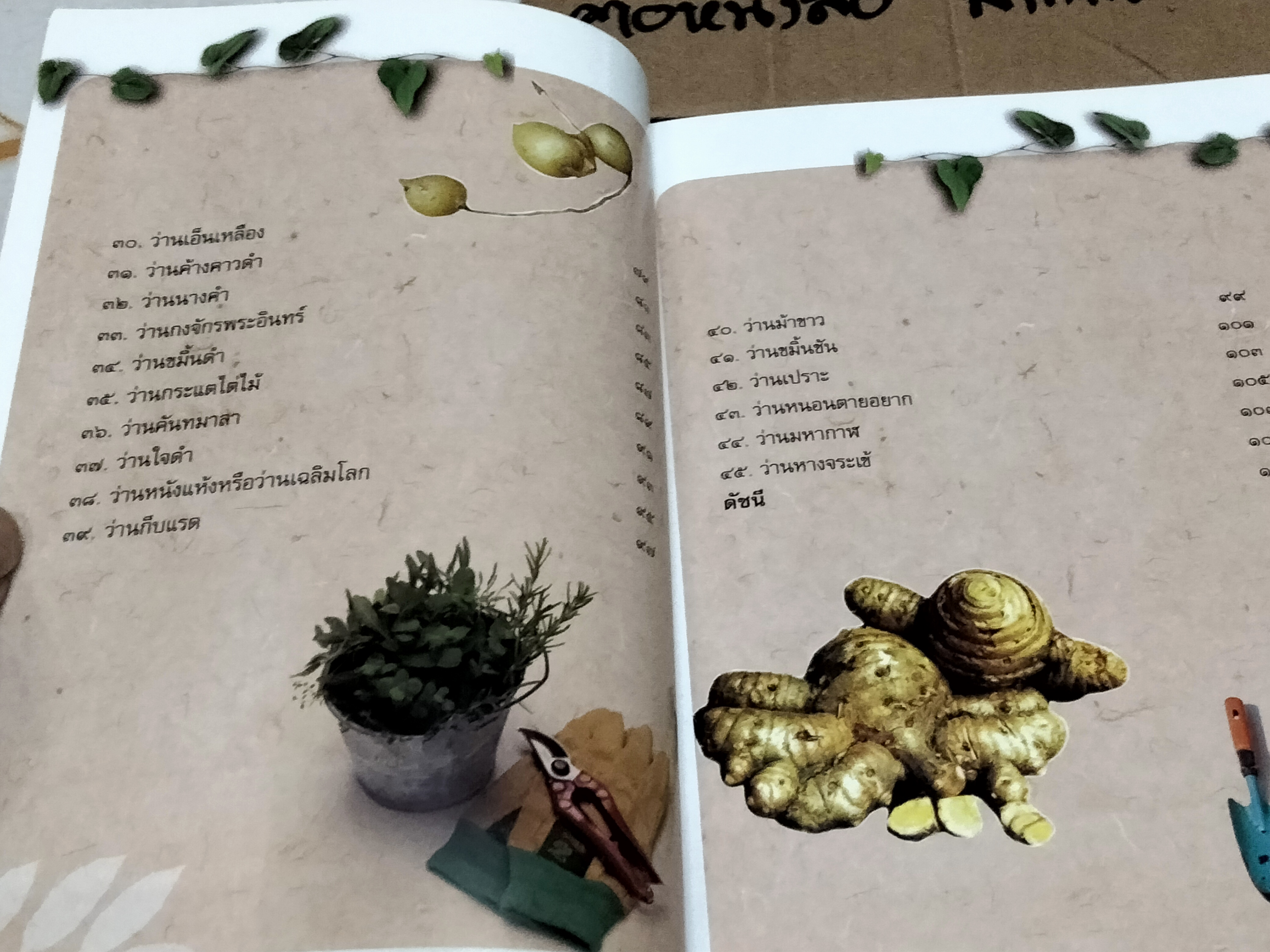 หนังสือ ตำนานว่านไทย โดย ชมรมว่านมหาเศรษฐี