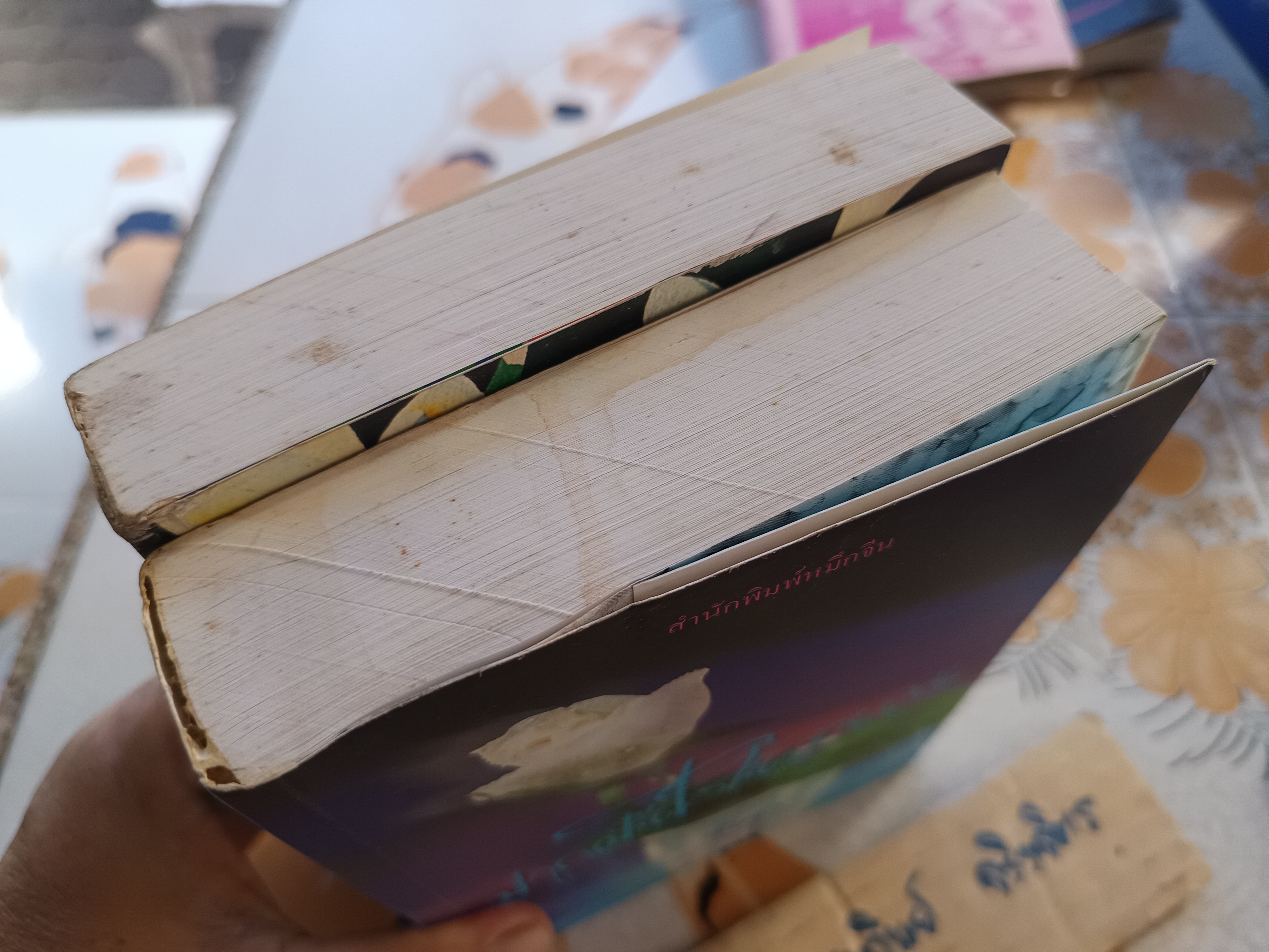 อรุณฉายในสายหมอก + ฝากฝันไว้ในสายลม (ครบ 2 ภาคจบบริบูรณ์) แปลและเรียบเรียง นิดา **สินค้าหมด**