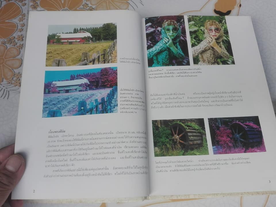 กลวิธีในการถ่ายภาพ ภาค 2