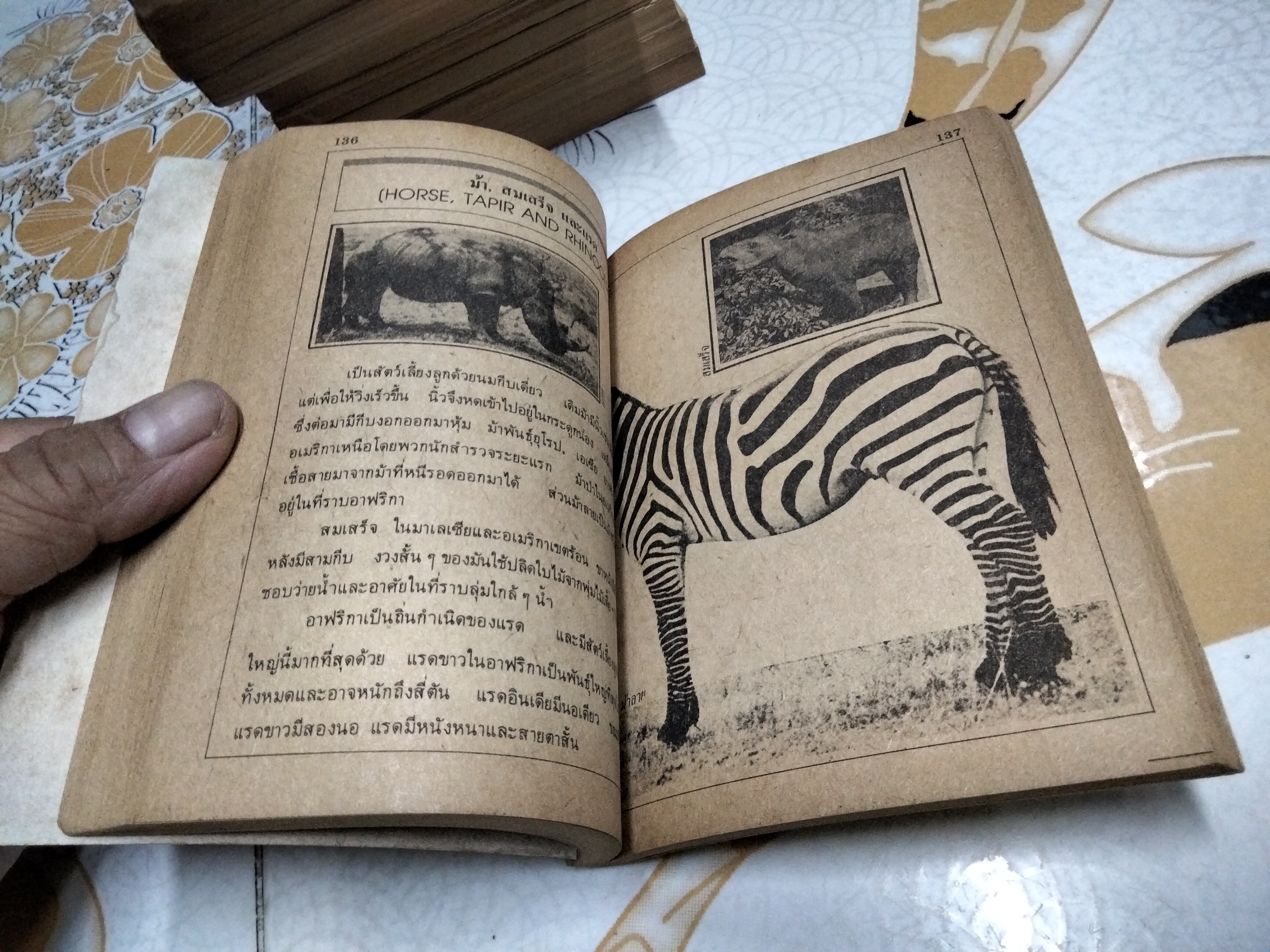 หนังสือชุด ถามคนเก่ง , สนพ.เม็ดทราย (เล่ม 1-13) มีเพียง 12 เล่ม , ขาดเล่ม 11 **สินค้าหมด**