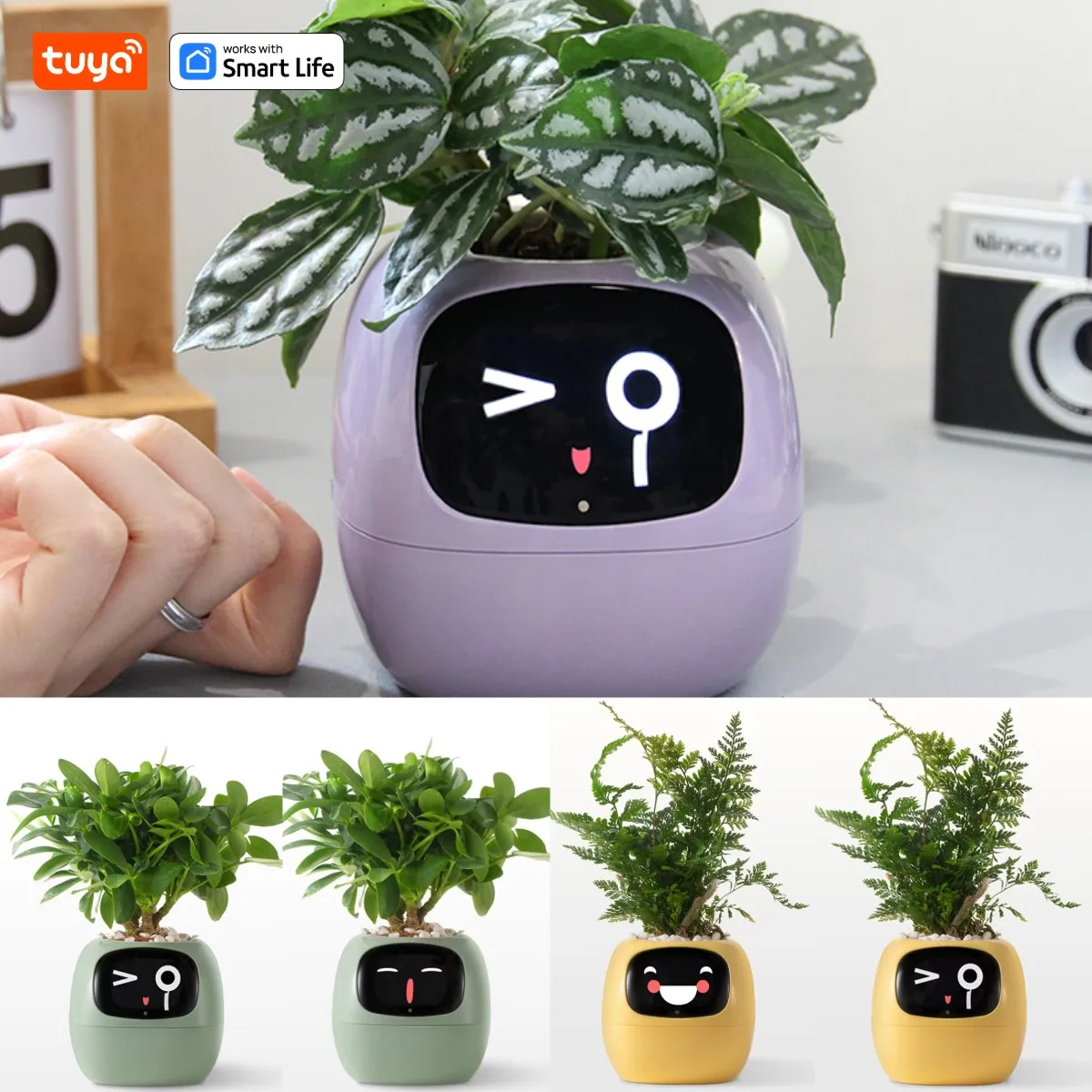 หุ่นยนต์พืชไอวี่ Smart planter Endless Ivy