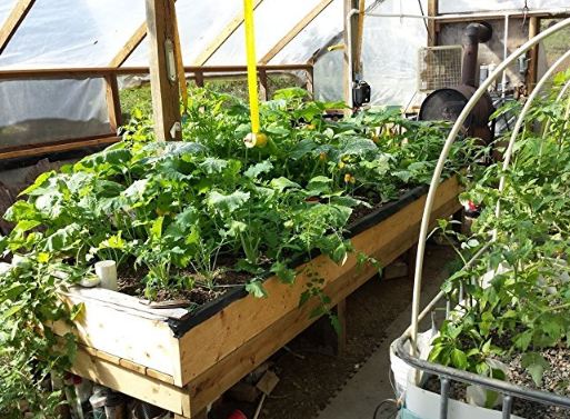 Aquaponics Auto Bell Siphon Kit 4 1/2 " Small Grow Grow Garden สำหรับผักสวนครัวโรงเรือนต่างๆ