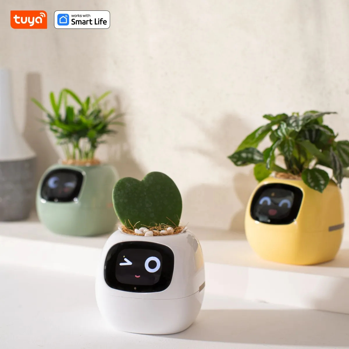 หุ่นยนต์พืชไอวี่ Smart planter Endless Ivy