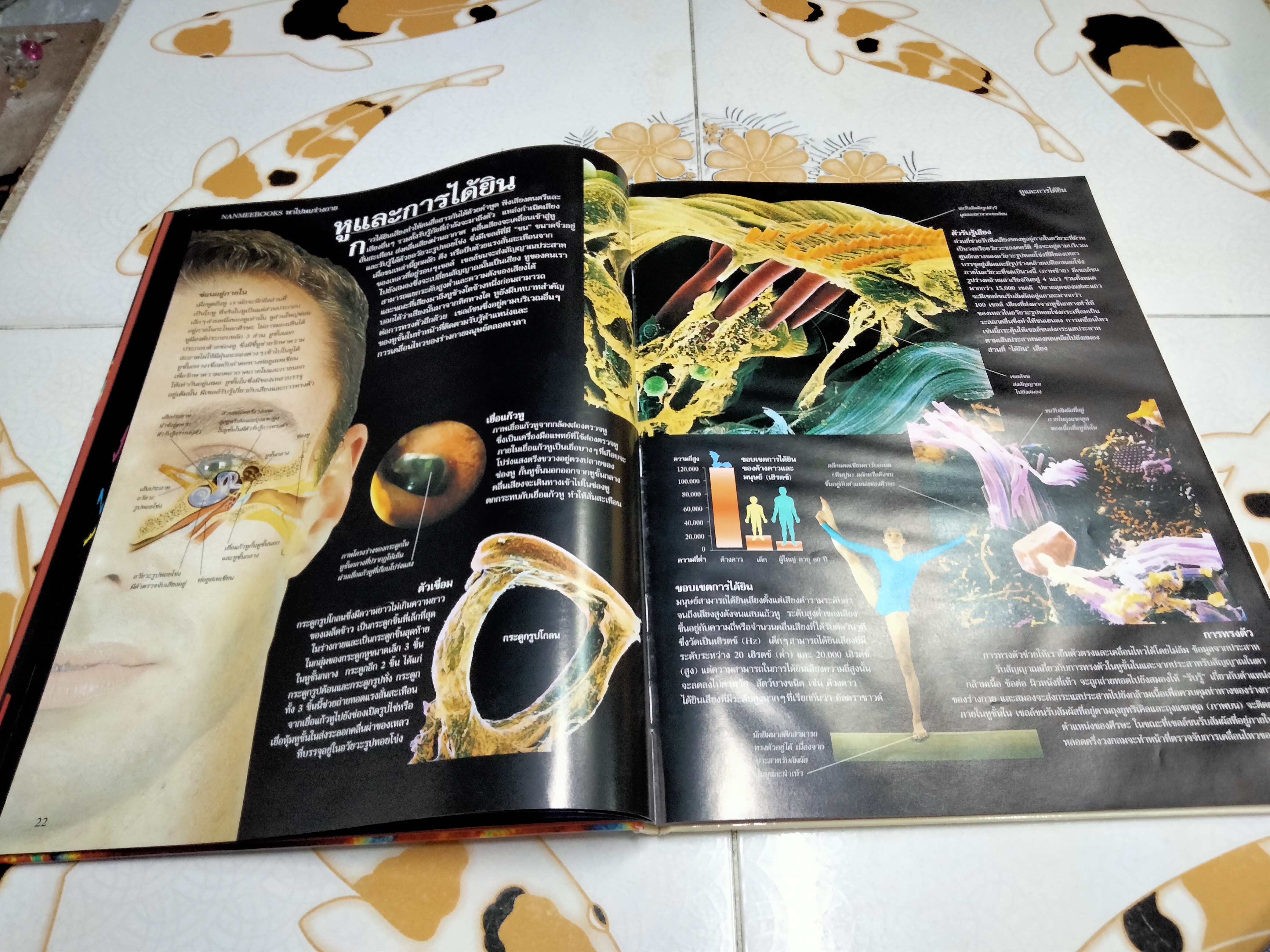 NANMEEBOOKS พาไปพบร่างกาย - Richard Walker เขียน, มีนา โอวราวินทร์ แปล (มีตราประทับจากห้องสมุดที่ใบรองปกหน้าและหลัง)