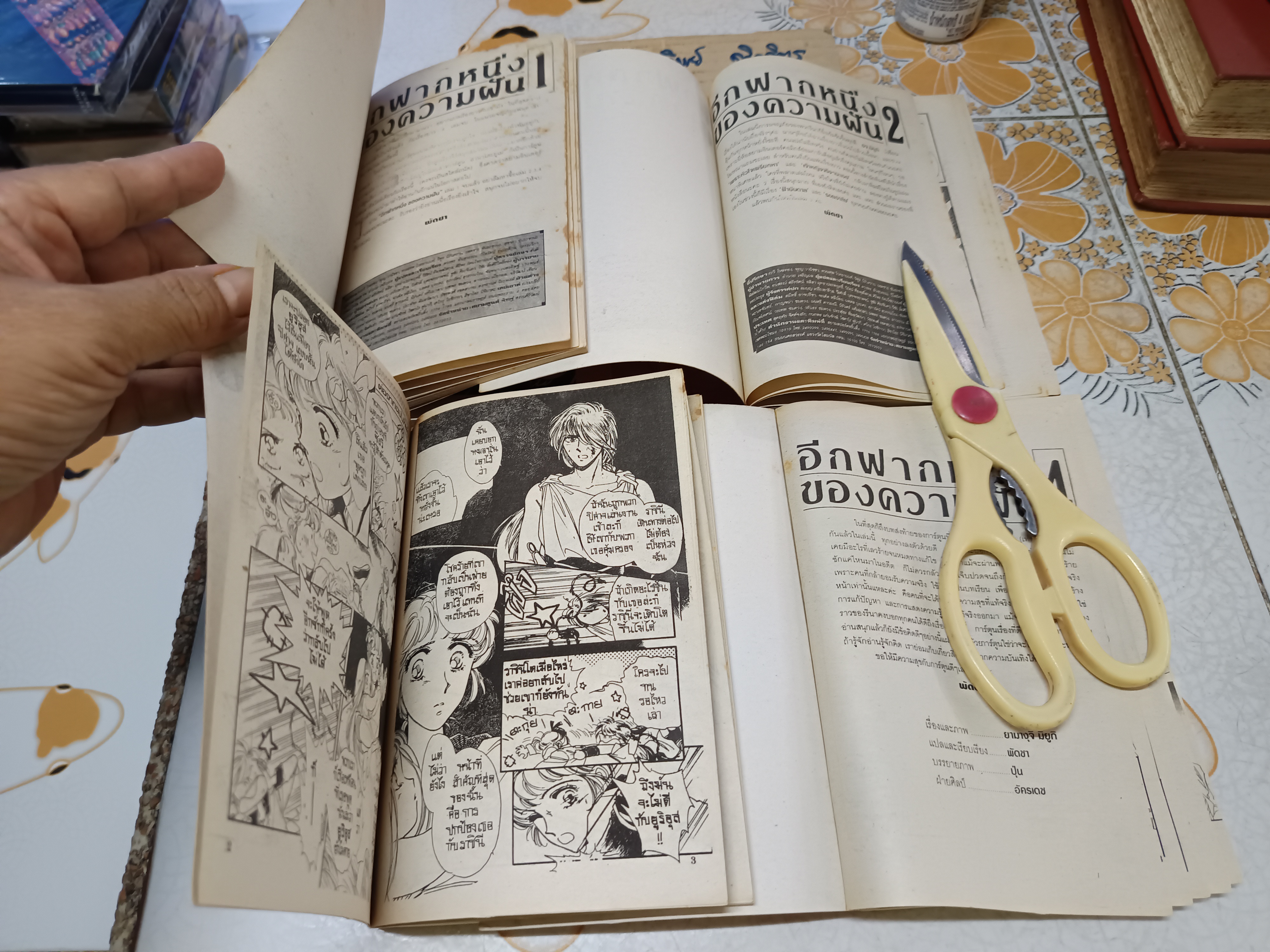 อีกฟากหนึ่งของความฝัน (4 เล่มจบ) โดย Miyuki Yamaguchi สยามอินเตอร์คอมิกส์ **สินค้าหมด**