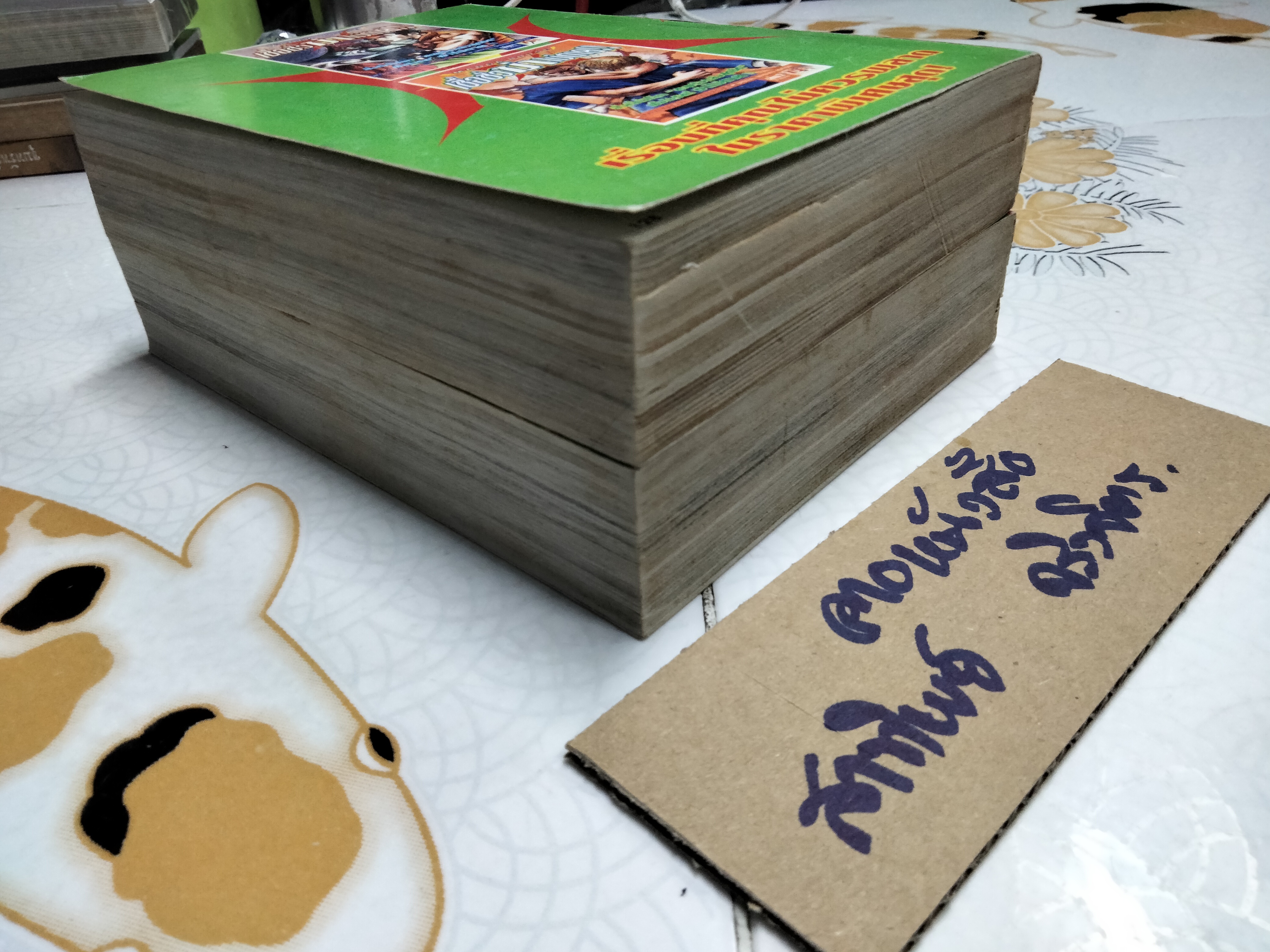 ETRANGER เชื้อชั่วฆ่าไม่ตาย (2 เล่มจบ) Tomizawa Jun เขียน **สินค้าหมด**