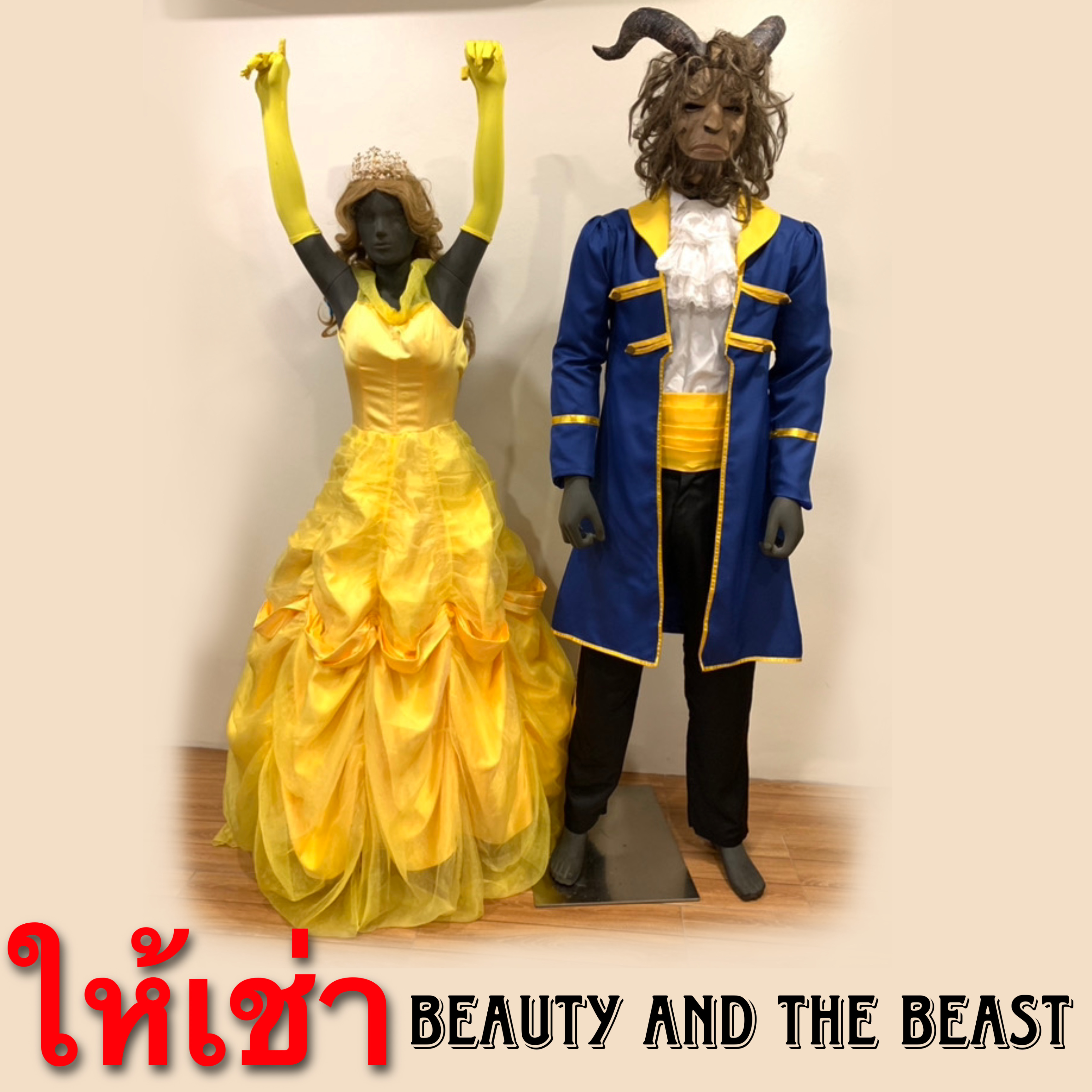 ให้เช่าชุดคอสเพลย์Beauty and The Beast