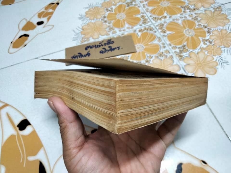 สุสานฟาโรห์ (เศษ เล่ม 1- ชุดนี้ 2 เล่มจบ) ผลงาน ทาเคมิยะ เคียวโกะ