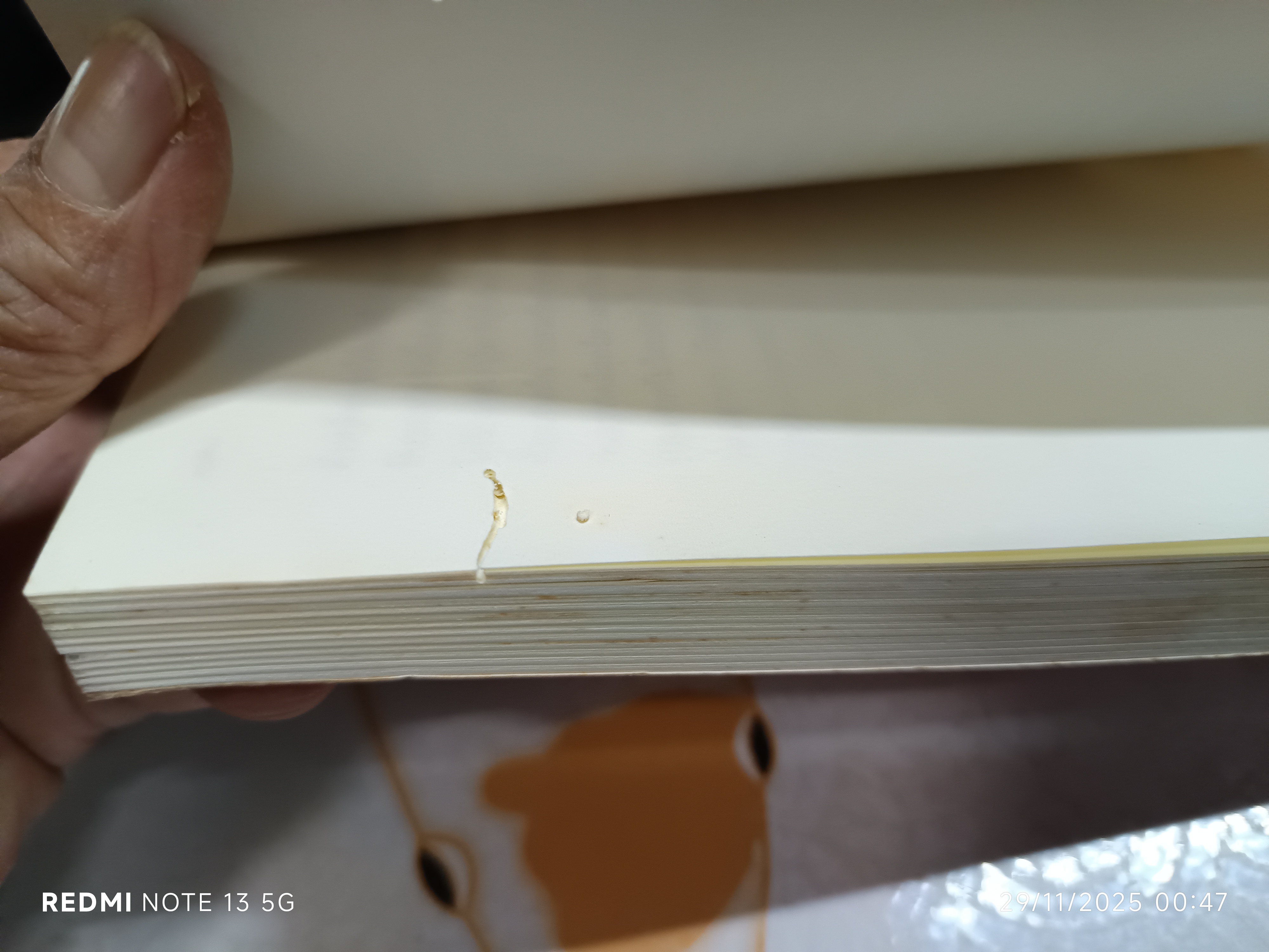 ชาร์ล็อตต์ แมงมุมเพื่อนรัก ผู้เขียน E.B. White (อี. บี. ไวท์) คณา คชา แปล /แพรวเยาวชน พิมพ์ครั้งที่ 19/2543