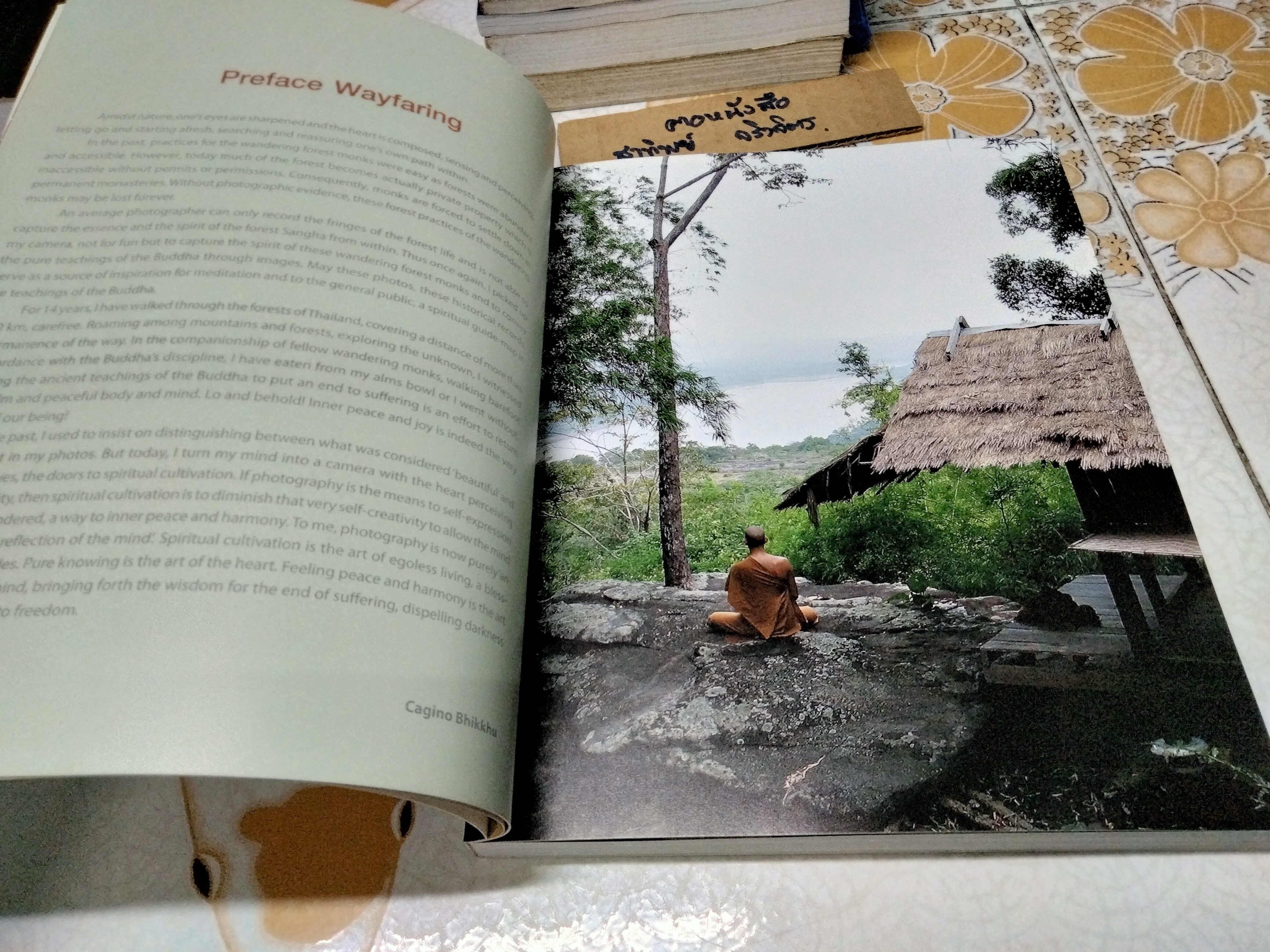 วิถีวิเวก เรียงร้อยภาพศิลป์ จากถิ่นสงบ Dhammafarers , A photographic Journey of the Dhammafarers พร้อมประวัติ พระอาจารย์ชาคิโน**สินค้าหมด**