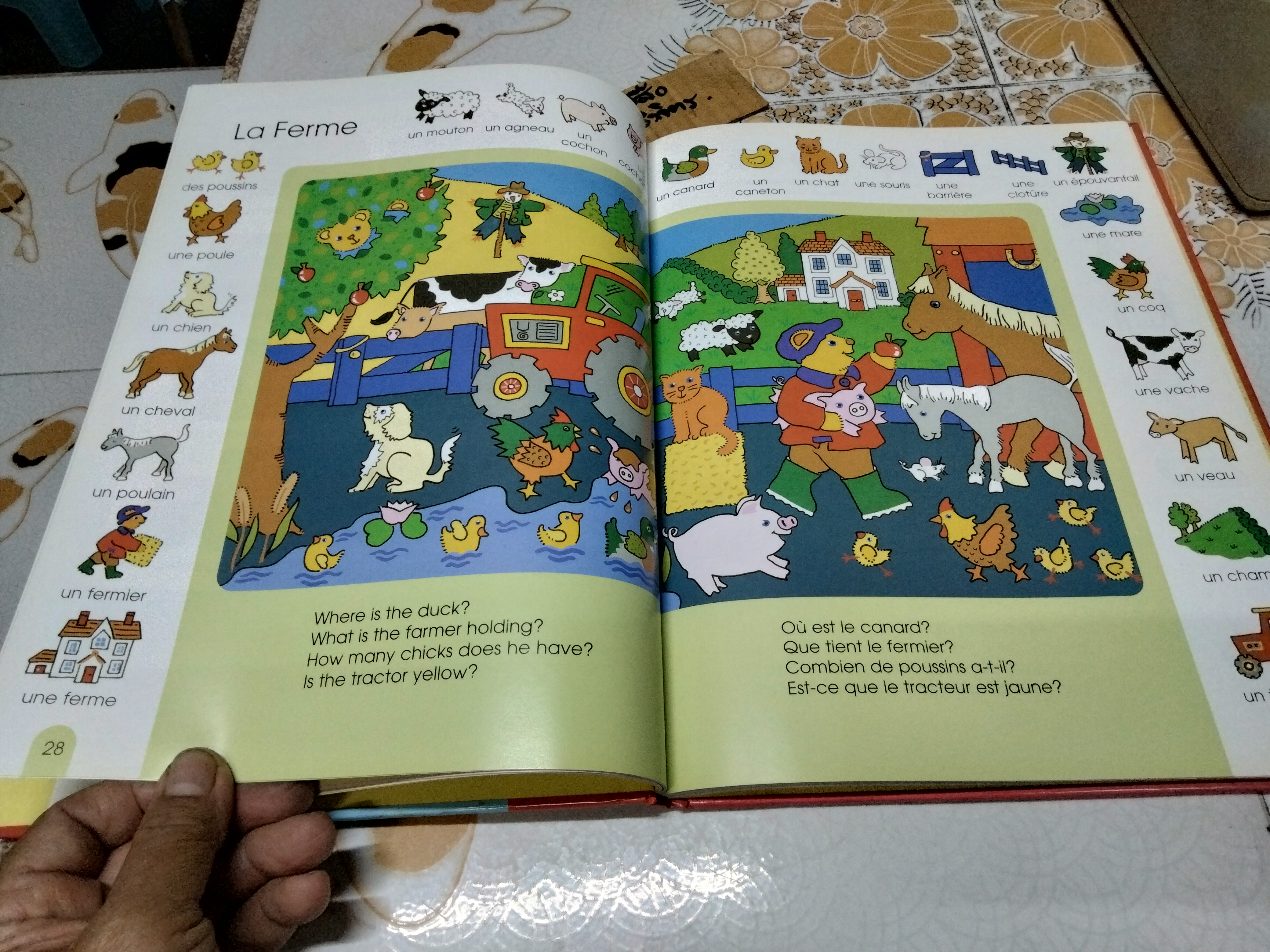 1000 First Words in French. คำศัพท์สำหรับเด็กภาษาอังกฤษ-ฝรั่งเศส พิมพ์ปี 2001 by Armadillo Books