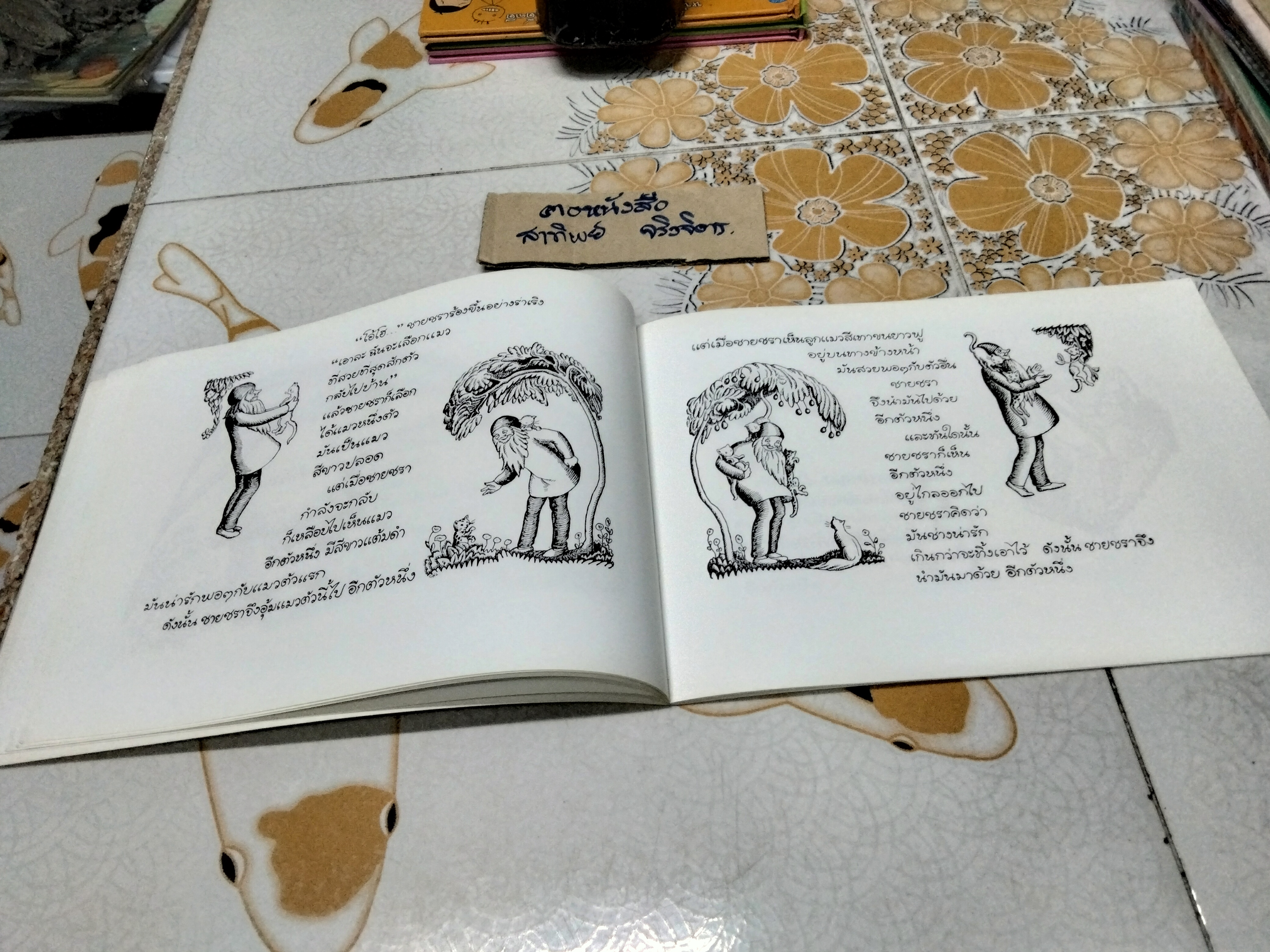 แมวล้านตัว (Millions of cats) เรื่องและภาพโดย แวนดา ก็อก - ชีวัน วิสาสะ แปล , พิมพ์ครั้งที่ 3-2552