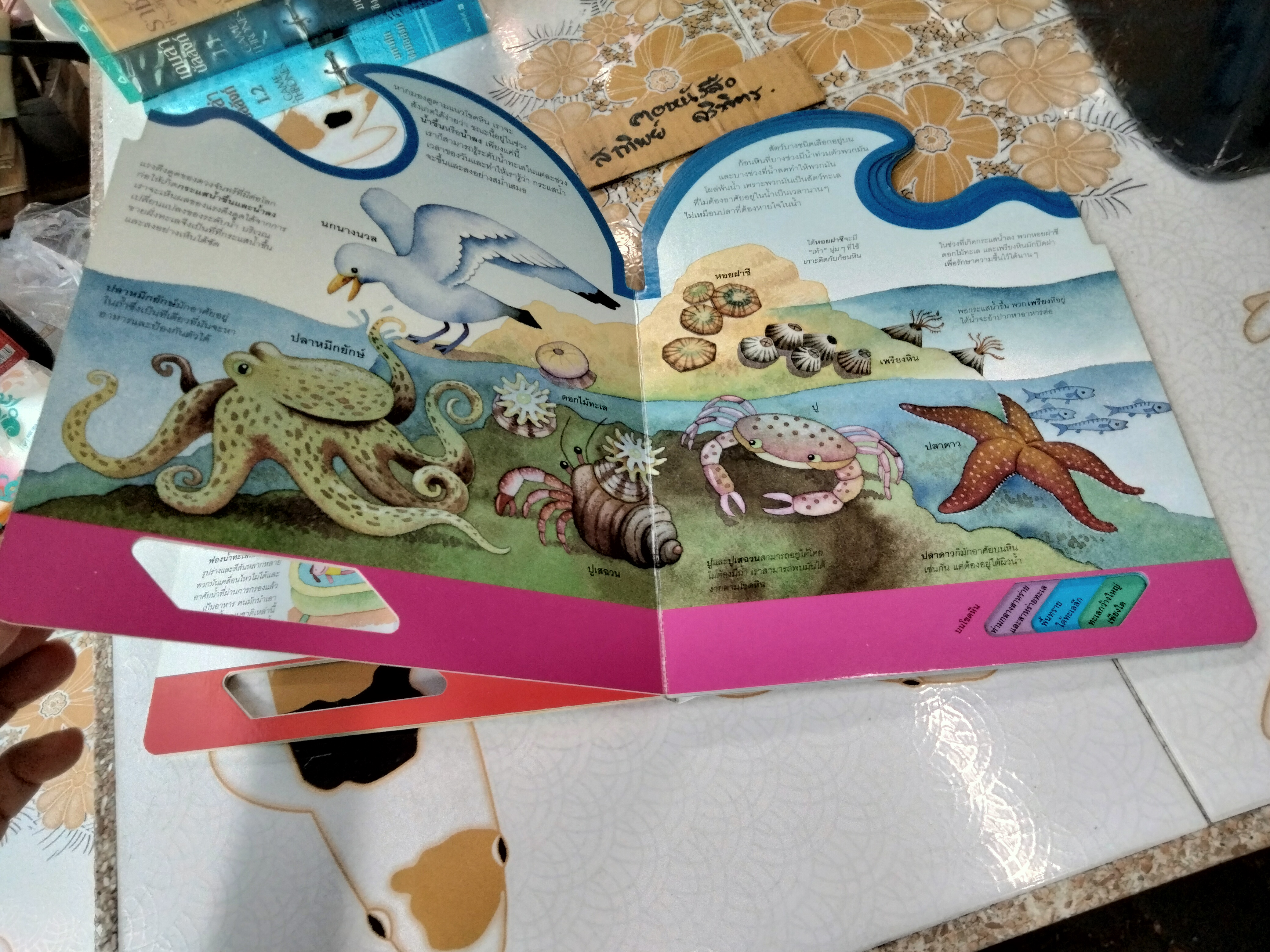 ในท้องทะเล - หนังสือชุดเรียนรู้โลกรอบตัว ชุดที่ 2 - สนพ. Happy Kids **สินค้าหมด**