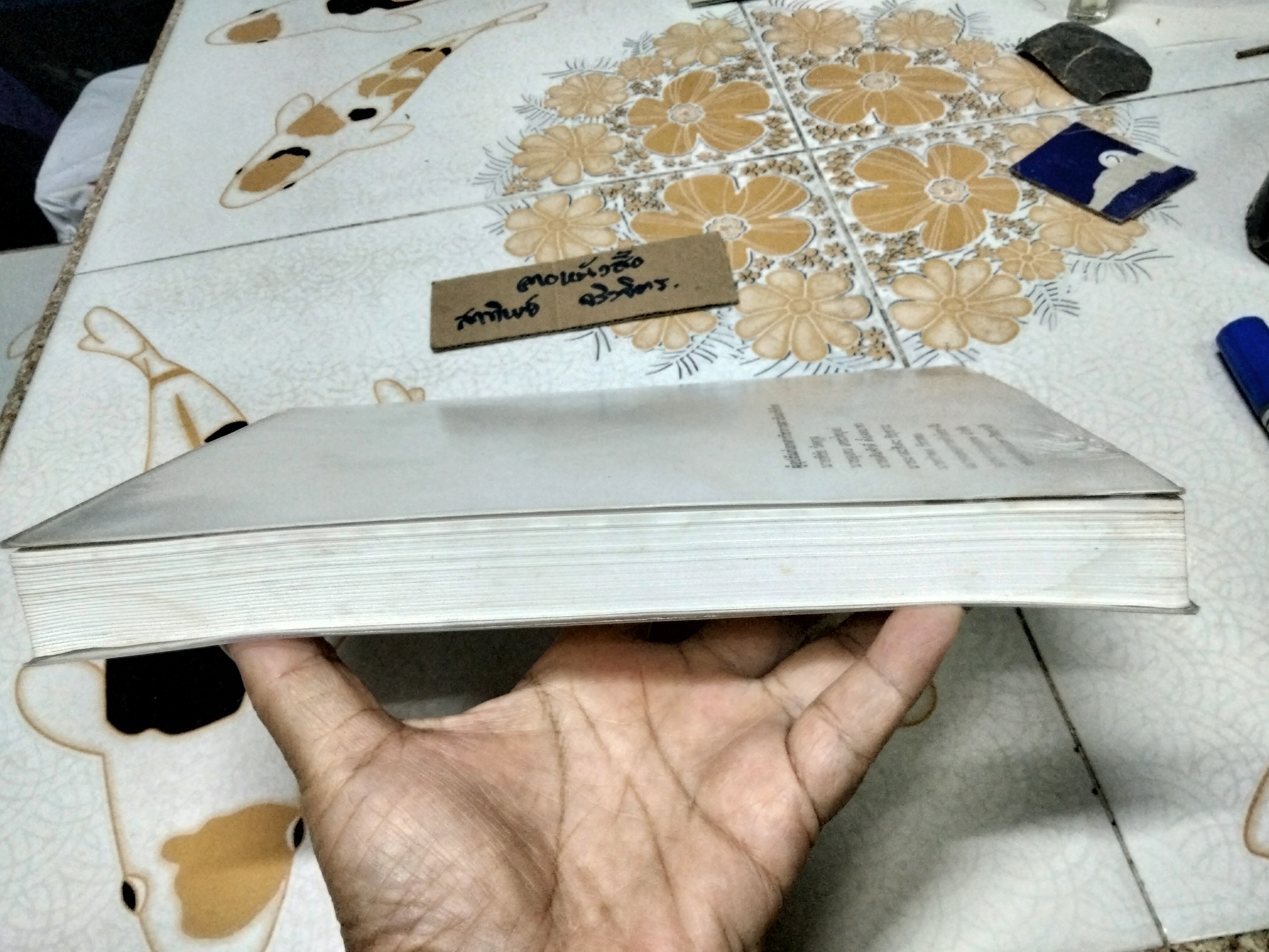 เอเชียรายปี 2007/2550 สถาบันเอเชียศึกษา จุฬาลงกรณ์มหาวิทยาลัย (หนังสือมีคราบน้ำ)