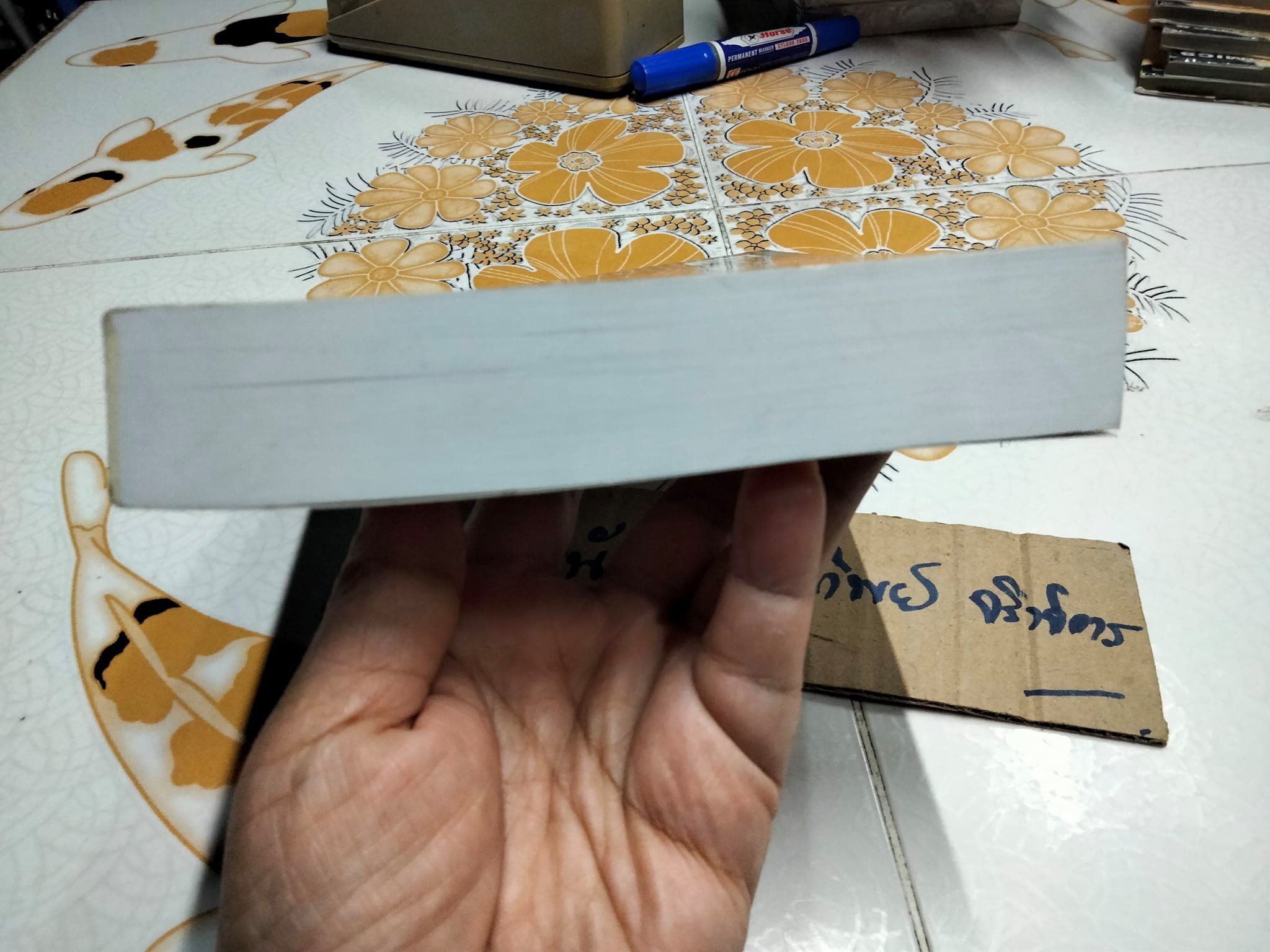 ภูแสนดาว โดย ดวงตะวัน พิมพ์ครั้งที่ 2/2546 สนพ.เพื่อนดี