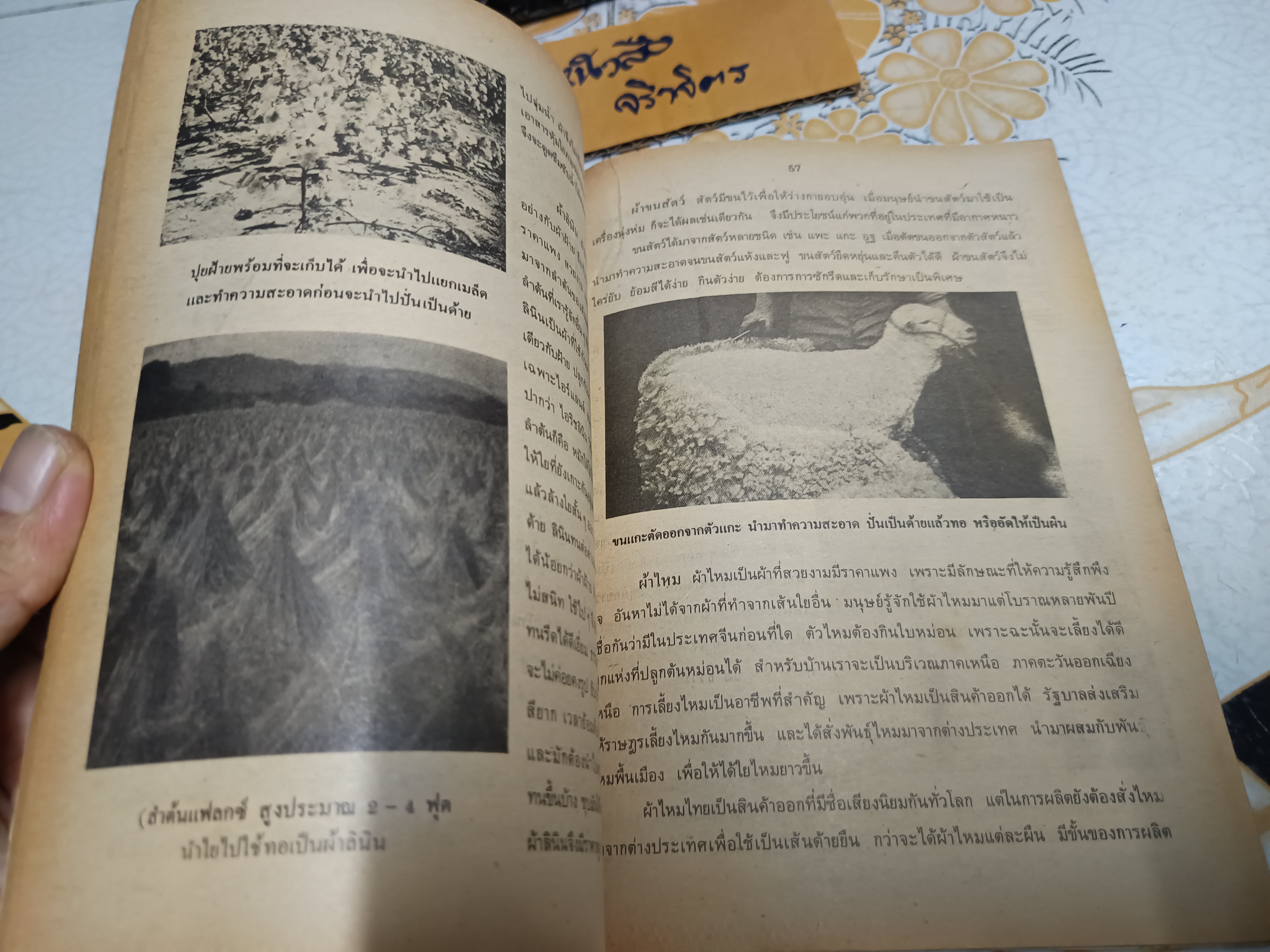 หนังสือเรียนวิชาการงานและอาชีพ ผ้าและการตัดเย็บ ระดับมัธยมศึกษาตอนต้น ตามหลักสูตรมัธยมศึกษาตอนต้นพุทธศักราช 2521 พิมพ์ครั้งที่ 3/2528 **สินค้าหมด**