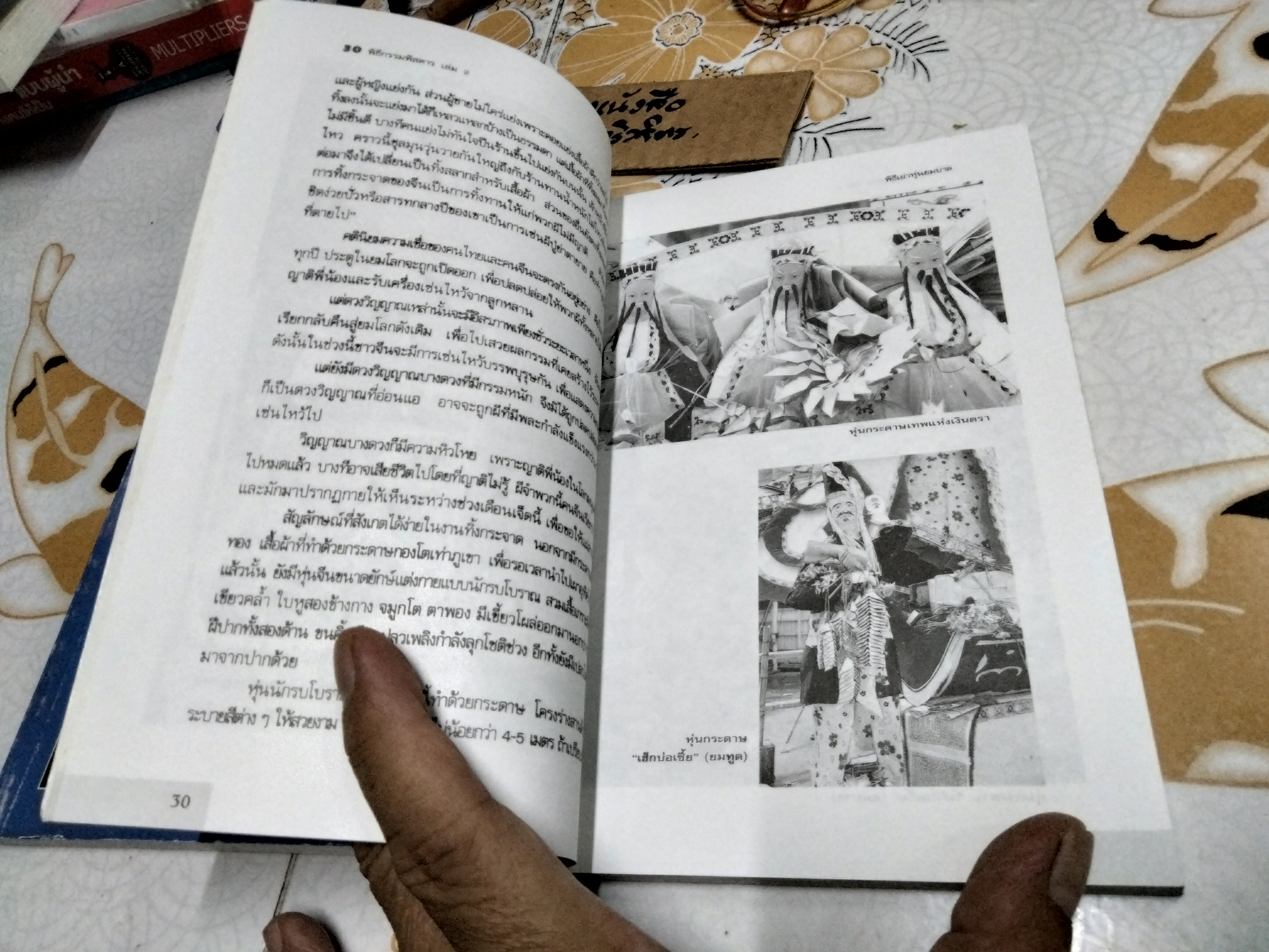 30 พิธีกรรมพิสดาร เล่ม 1+2 เจริญ ตันมหาพราน พิมพ์ปี 2541