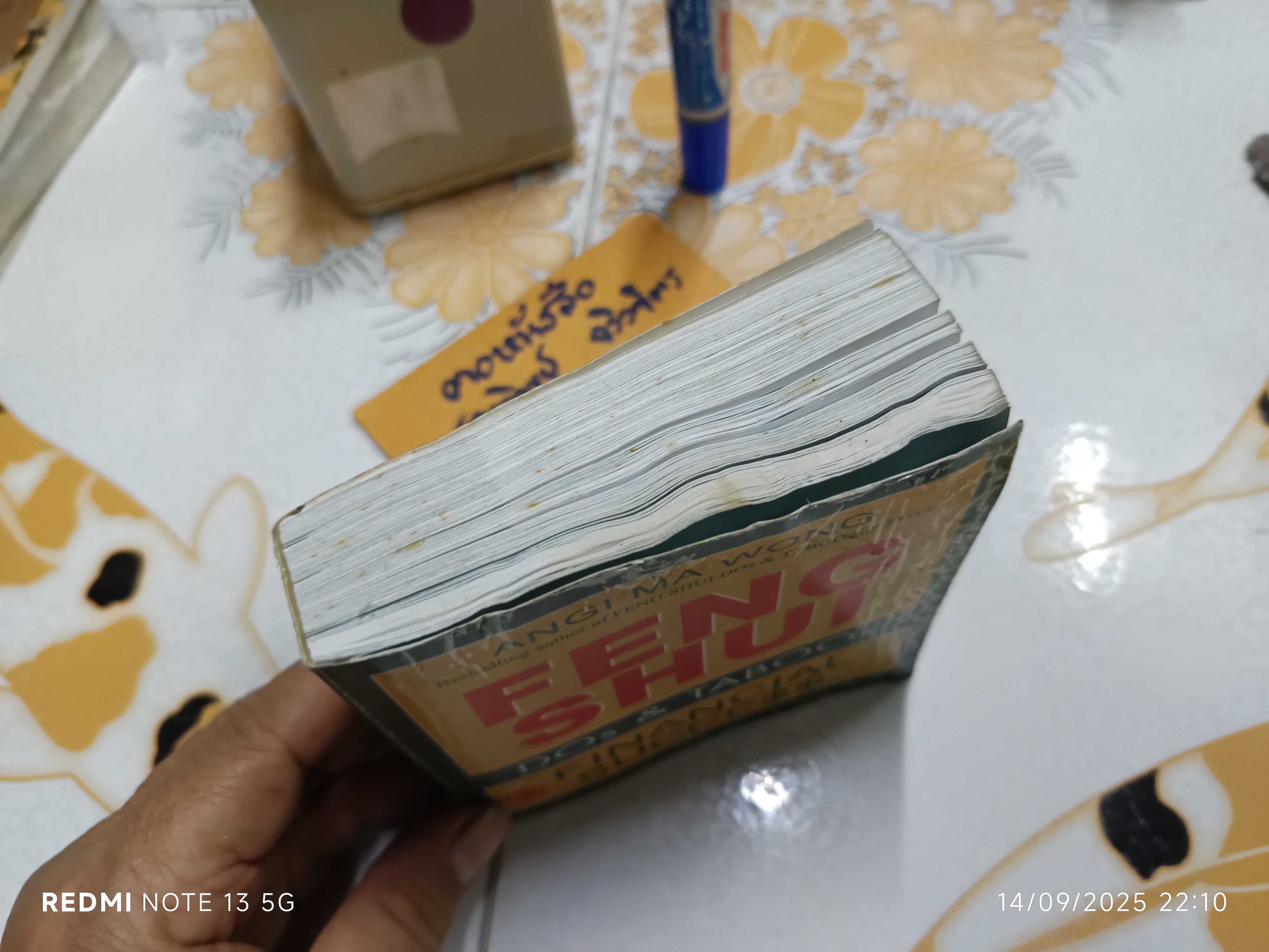 FENG SHUI DOs & TABOOS for FINANCIAL SUCCE$$ เขียนโดย ANGI MA WONG (ภาษาอังกฤษ)