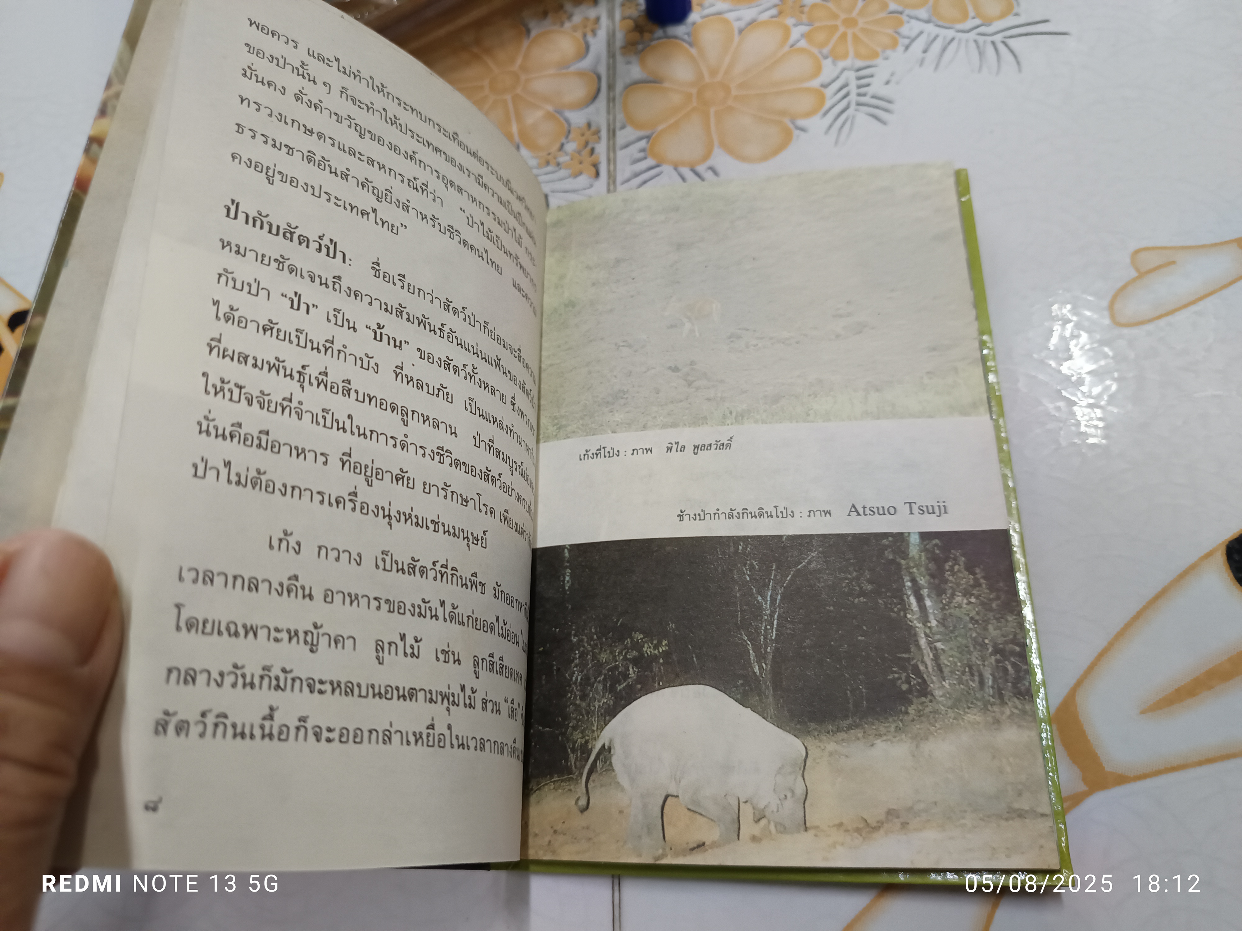 นกป่า โดย พิไล พูลสวัสดิ์ พิมพ์ครั้งที่ 1 ปี 2532 หนังสือชุดความรู้ไทยขององค์การค้าคุรุสภา