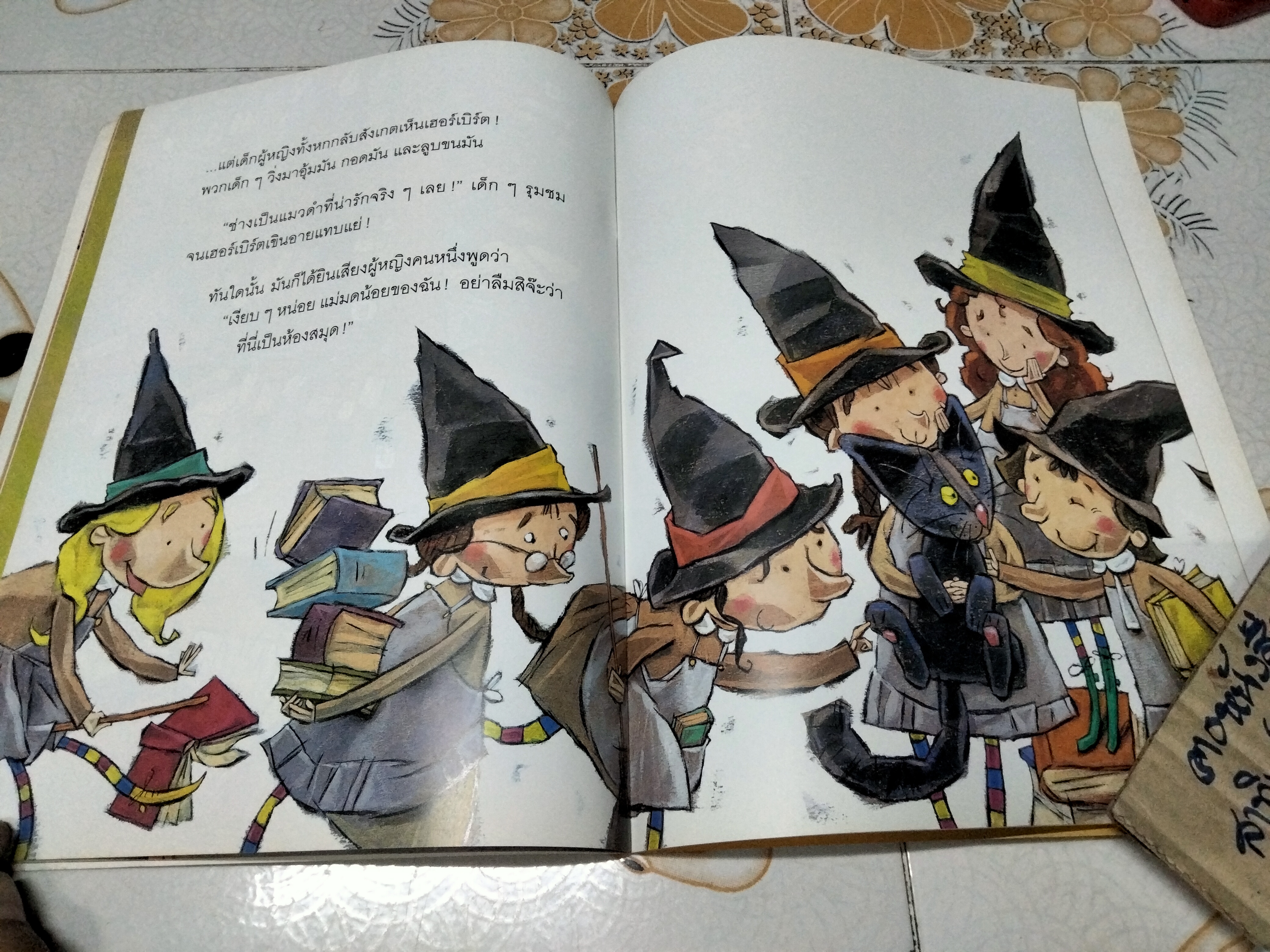 ขอโทษฮะ...คุณเป็นแม่มดรึเปล่า? เอมิลี ฮอร์น เขียน พอฟเอล พอฟลอค ภาพ น้านกฮูก แปล **สินค้าหมด**