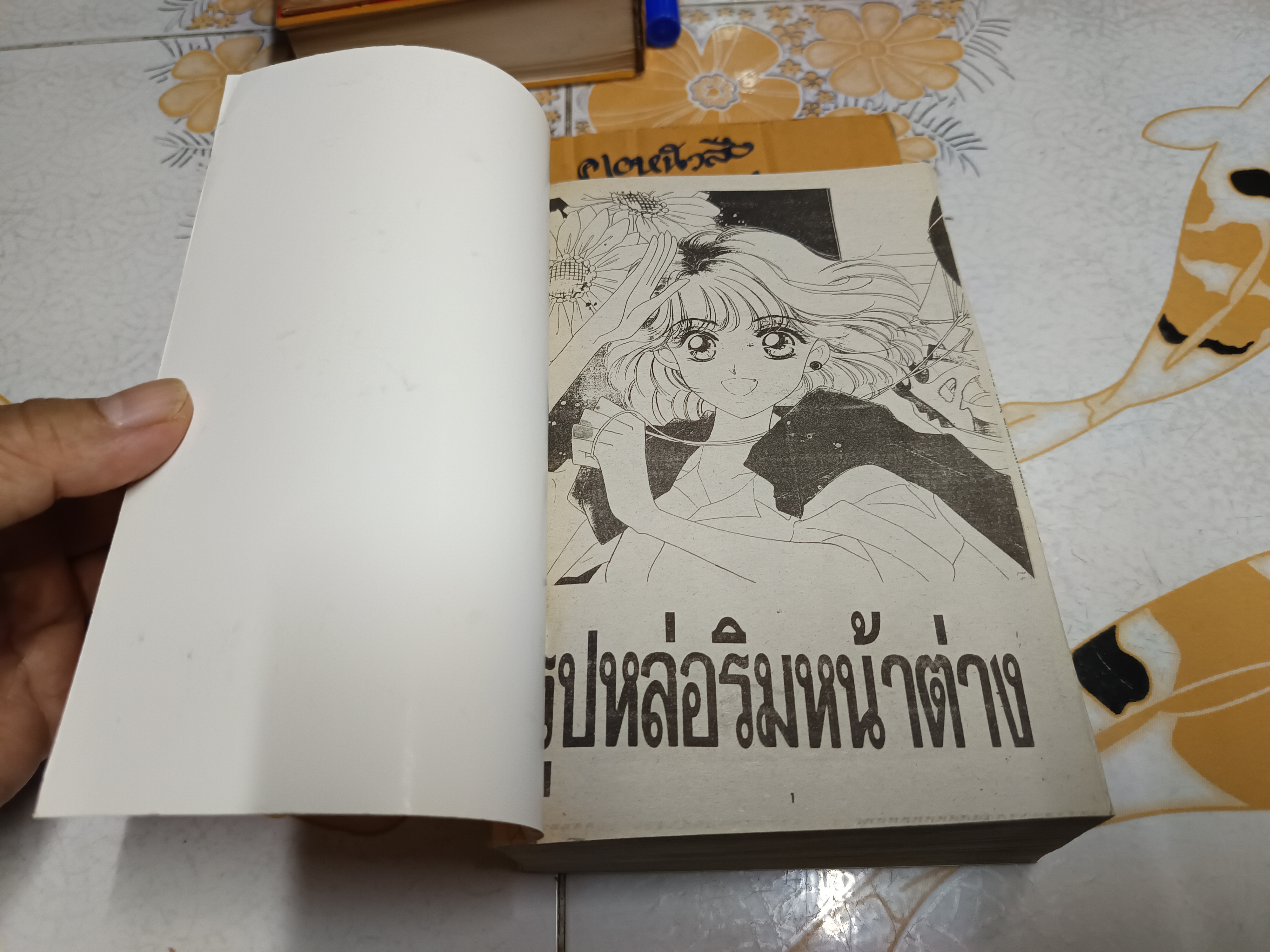 รูปหล่อริมหน้าต่าง (เล่มเดียวจบ) Takada Rie สำนักพิมพ์หมึกจีน