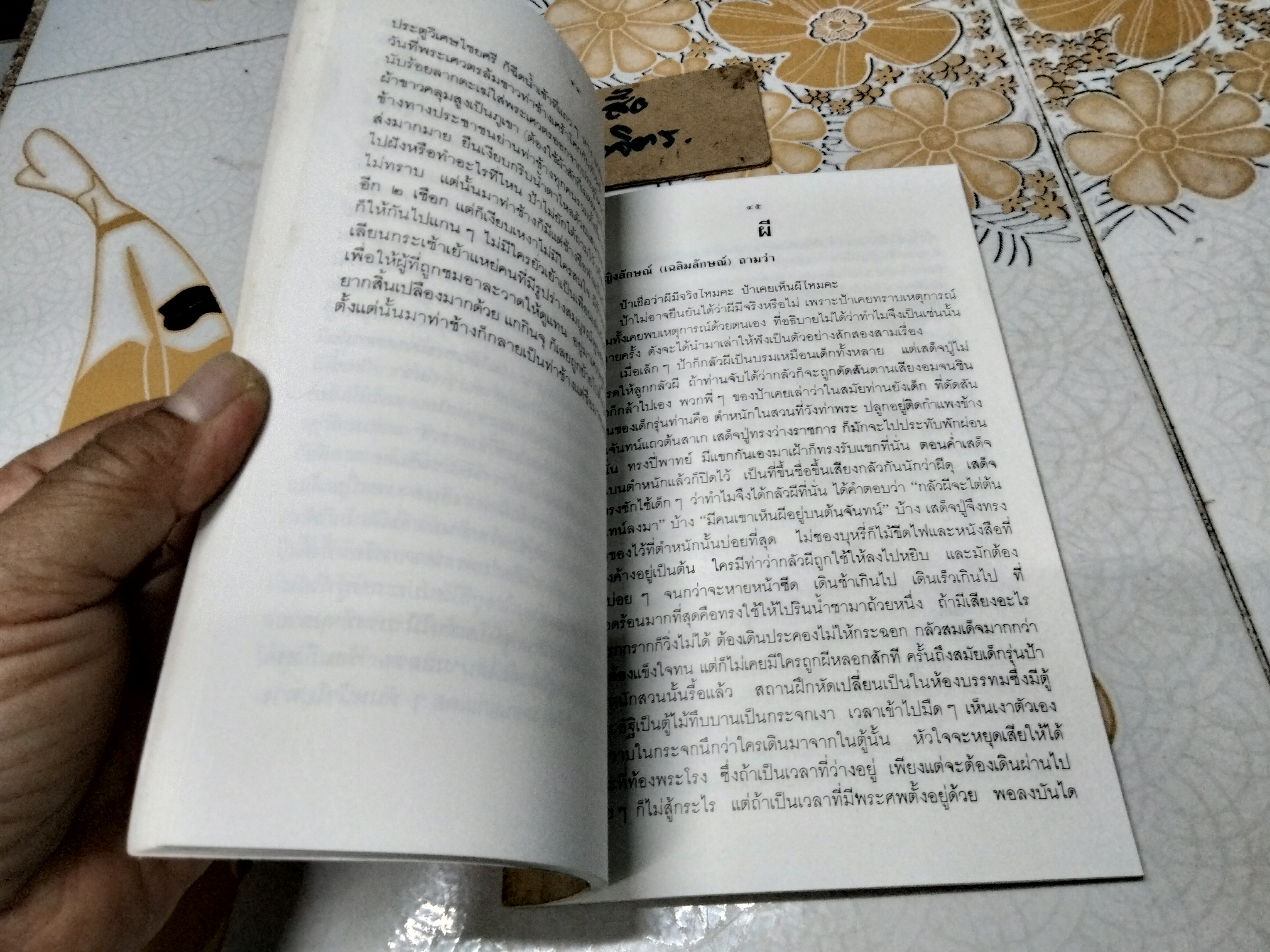 ป้าป้อนหลาน หม่อมเจ้าหญิง ดวงจิตร จิตรพงศ์ บันทึก พิมพ์เป็นที่ระลึกในงานพระชันษาครบ 7 รอบ (พิมพ์เป็นครั้งที่ 2 26 กันยายน 2535)