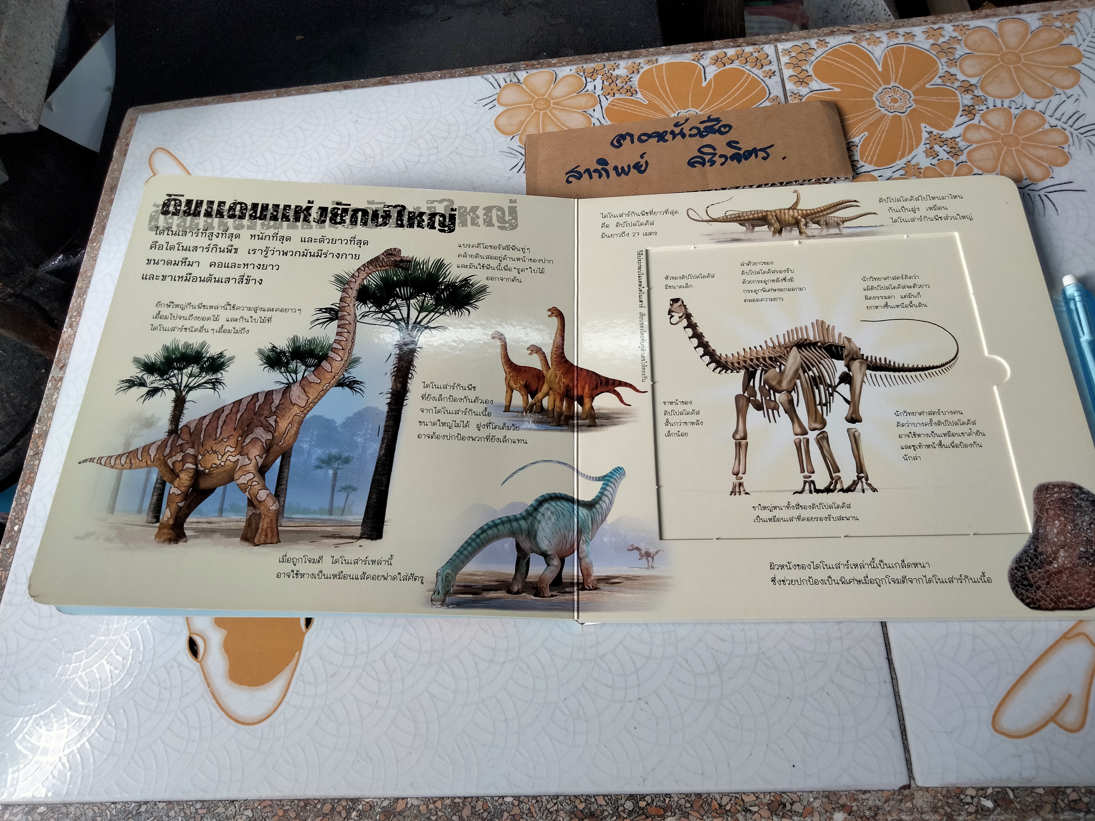 ประกอบร่างไดโนเสาร์ (บอร์ดบุ๊ค กระดาษแข็ง) **ไม่มีโมเดลไดโนเสาร์แล้ว