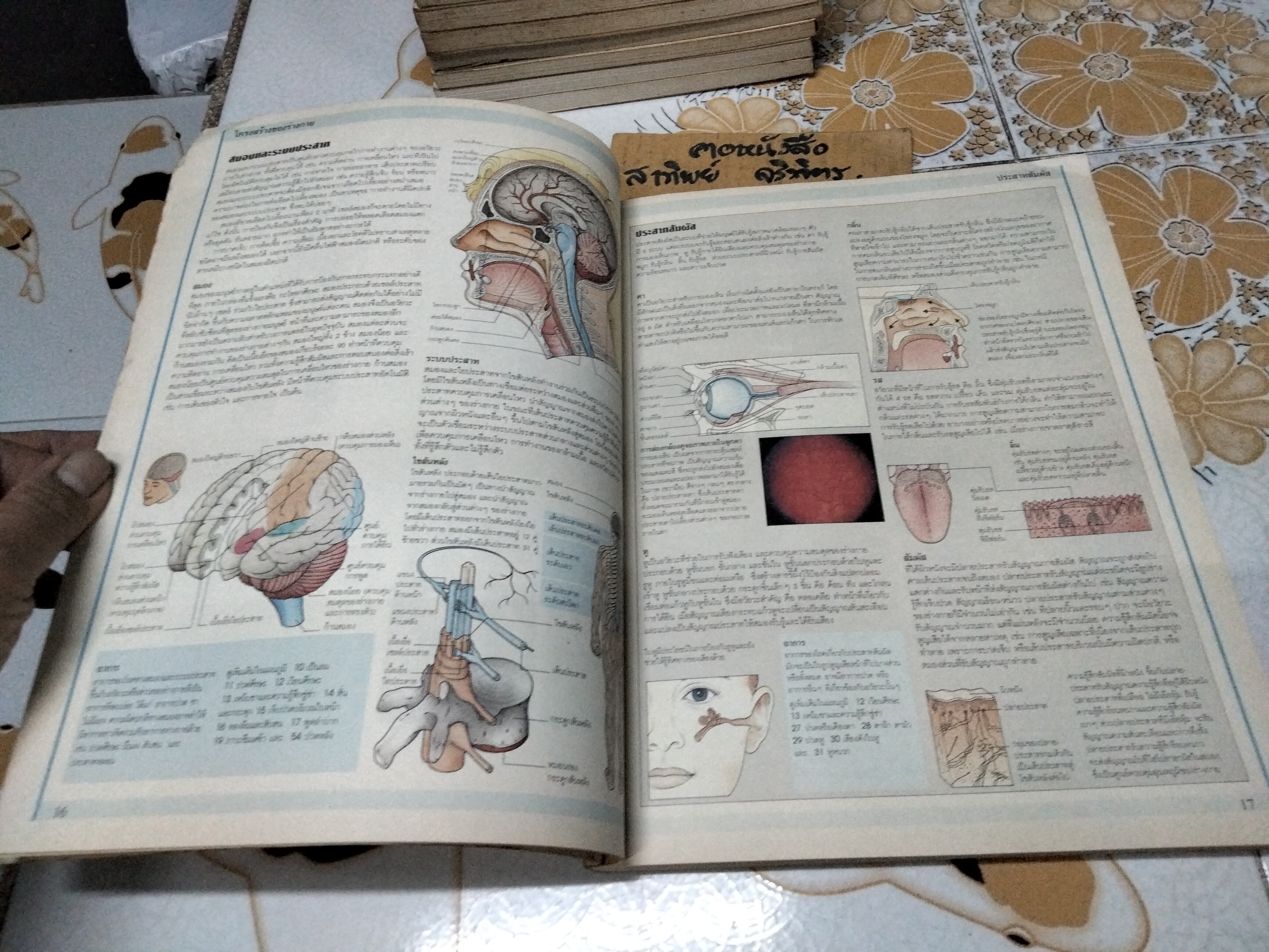 คู่มือสุขภาพประจำบ้าน : เพื่อวินิจฉัยโรคภัยด้วยตนเองก่อนพบแพทย์ คู่มือสุขภาพประจำบ้านเล่ม 2 สำหรับผู้ใหญ่