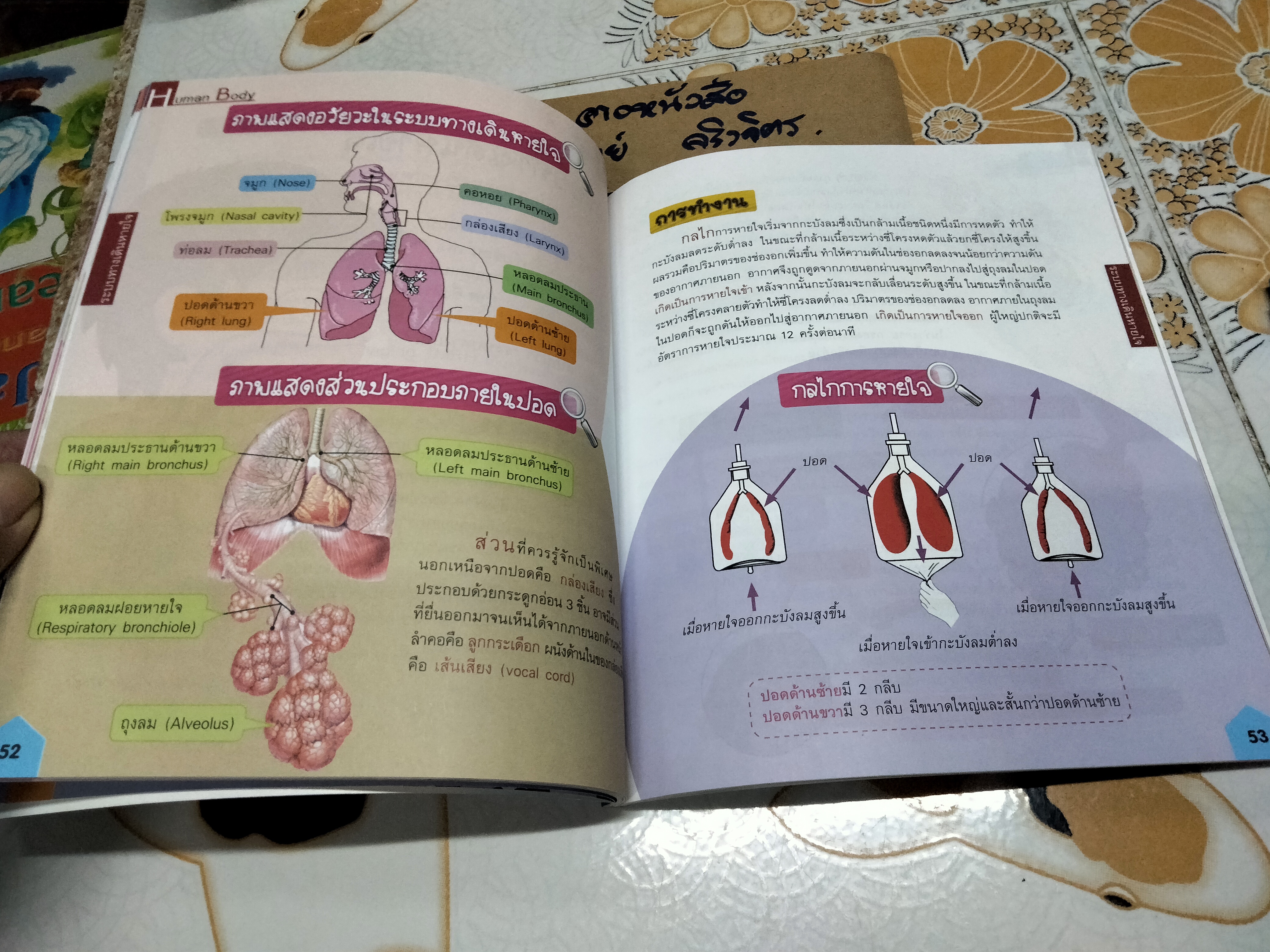 ระบบร่างกายมนุษย์ Human Body (ระดับประถม) ผศ. ดร. อรกัญญ์ ภูมิโคกรักษ์
