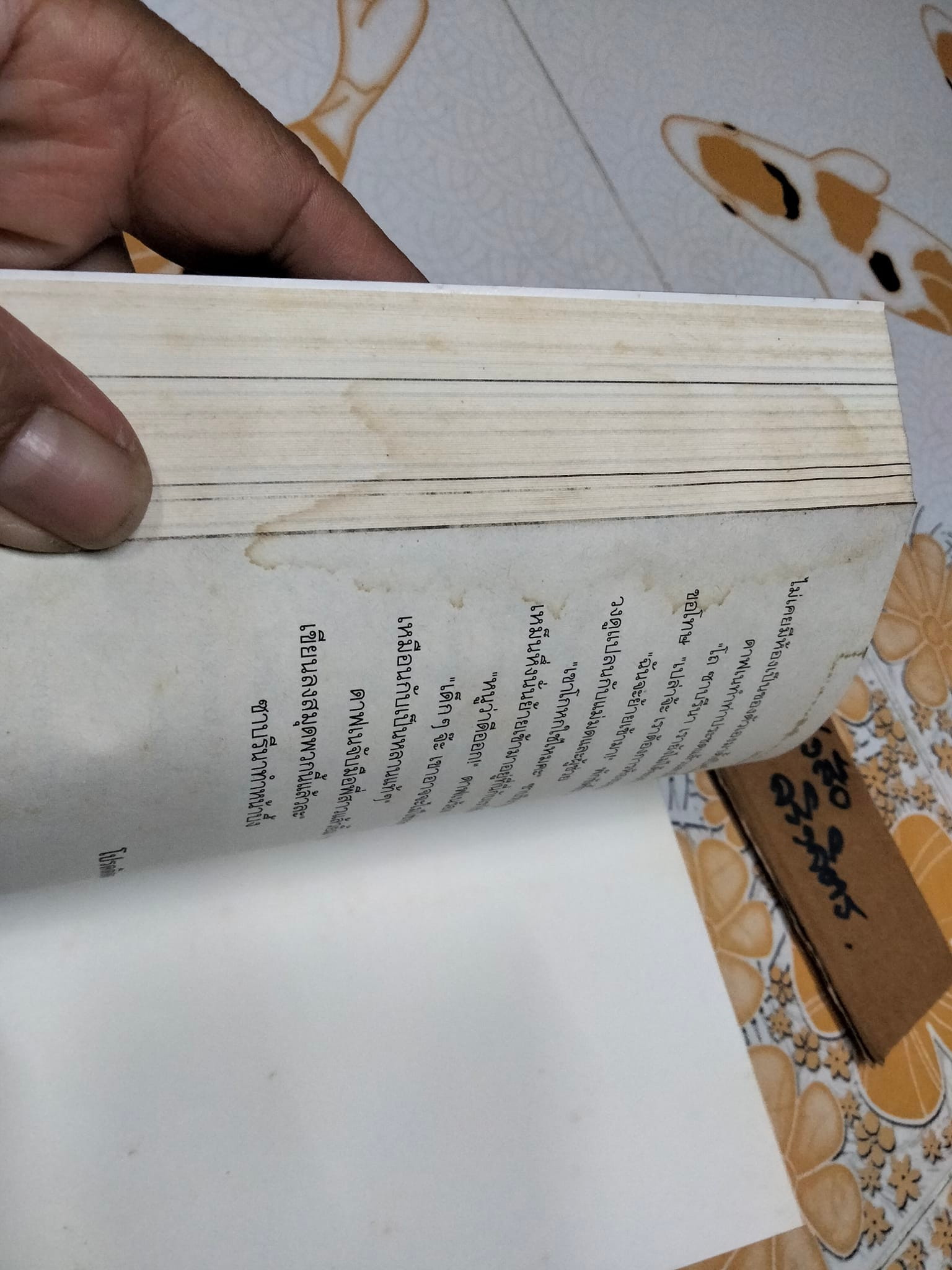 นักสืบเทพนิยาย เล่ม 1 - ไขคดีแจ็ก ผู้ (ไม่) ฆ่ายักษ์ The Sister Grimm 1 Fairy-tale Detectives. Michael Buckley เขียน, ธิติมา สัมปัชชลิต แปล