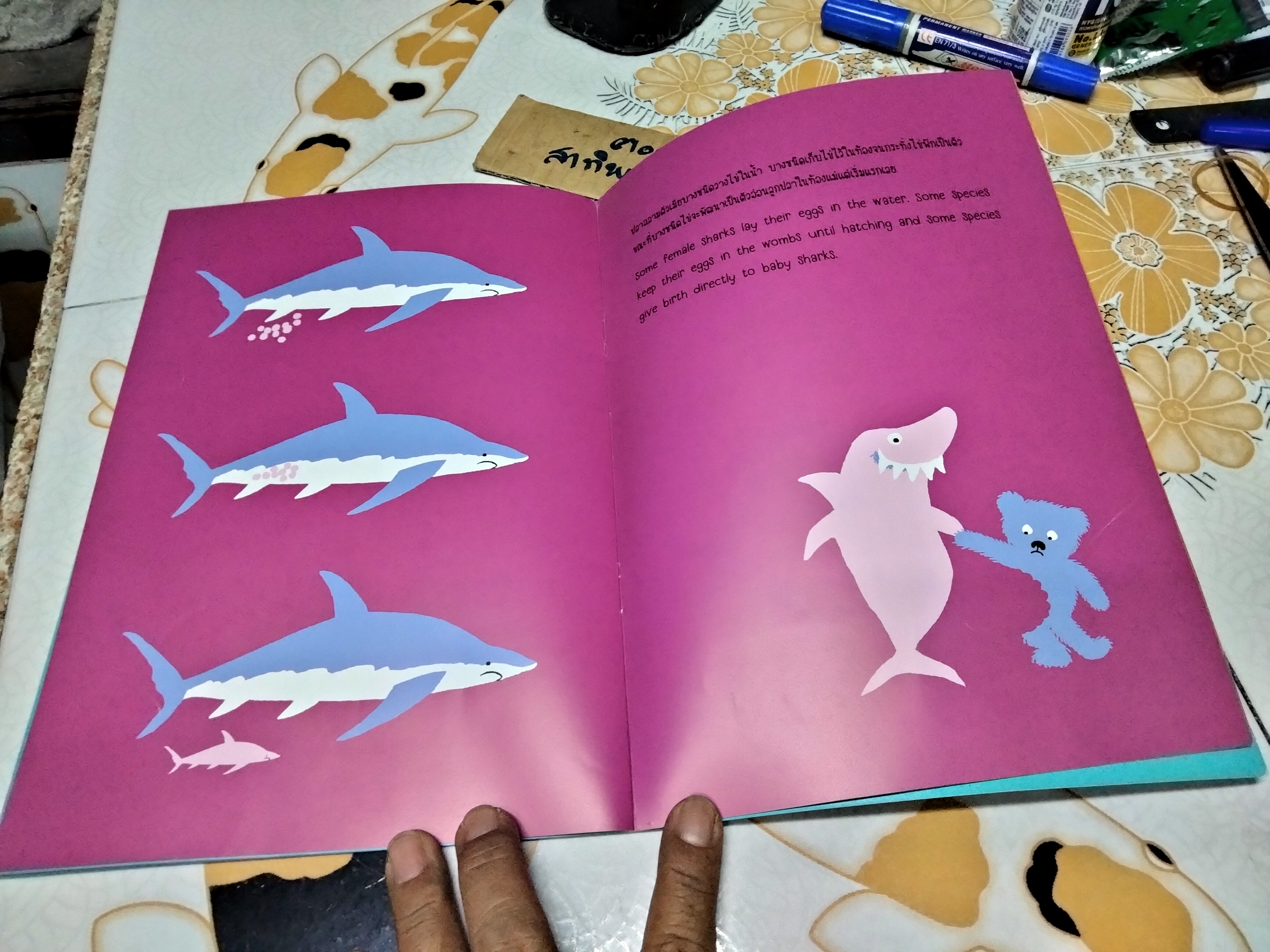 ปลาฉลาม (Sharks) หนังสือสองภาษา ไทย-อังกฤษ ผู้แต่ง ทัตสุ นากาตะ **สินค้าหมด**